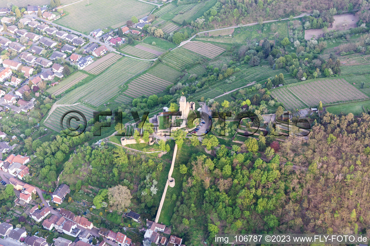 Wachtenburg (ruin “Wachenheim Castle”) in Wachenheim an der Weinstraße in the state Rhineland-Palatinate, Germany seen from above