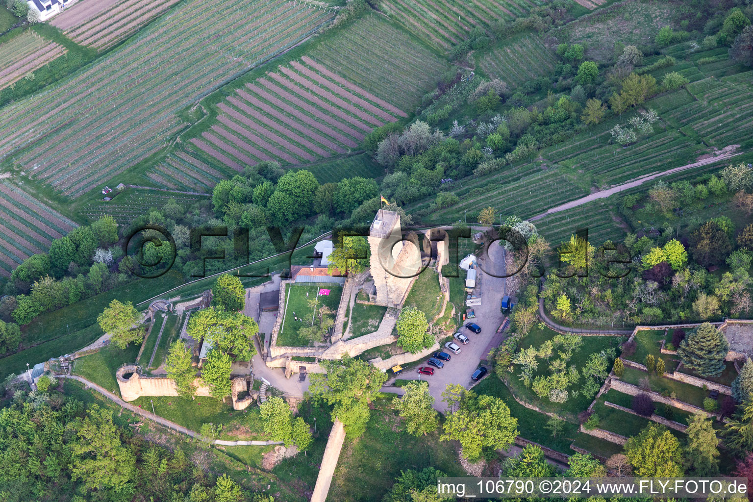 Wachtenburg (ruin “Wachenheim Castle”) in Wachenheim an der Weinstraße in the state Rhineland-Palatinate, Germany from the plane