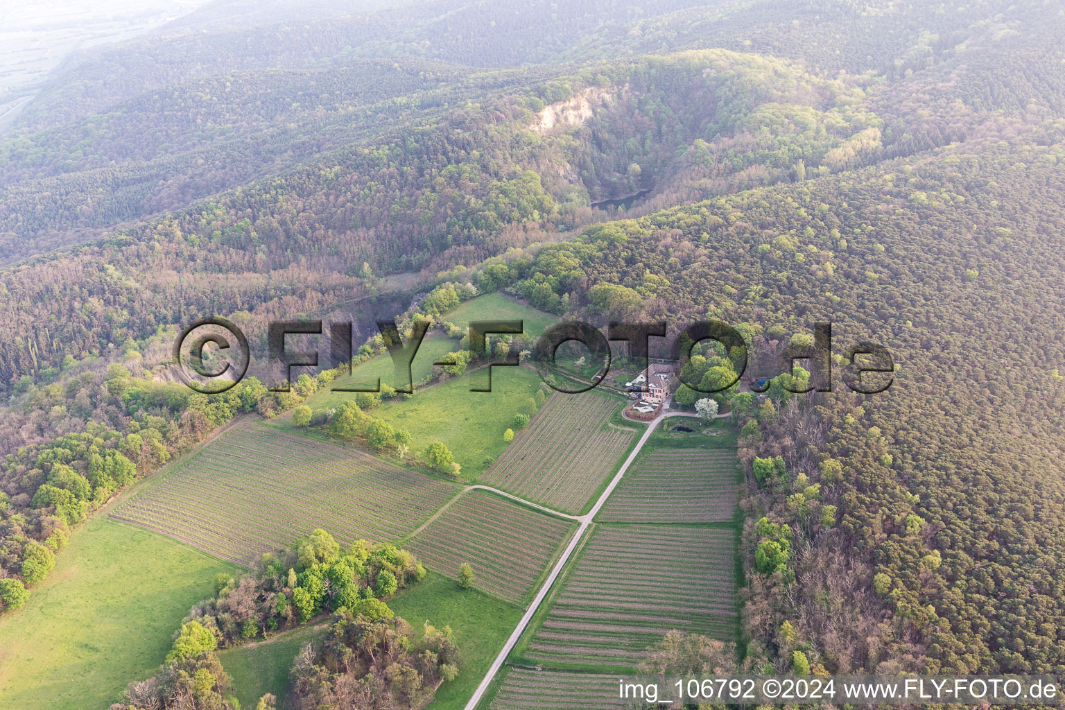 Wachenheim an der Weinstraße in the state Rhineland-Palatinate, Germany from the plane