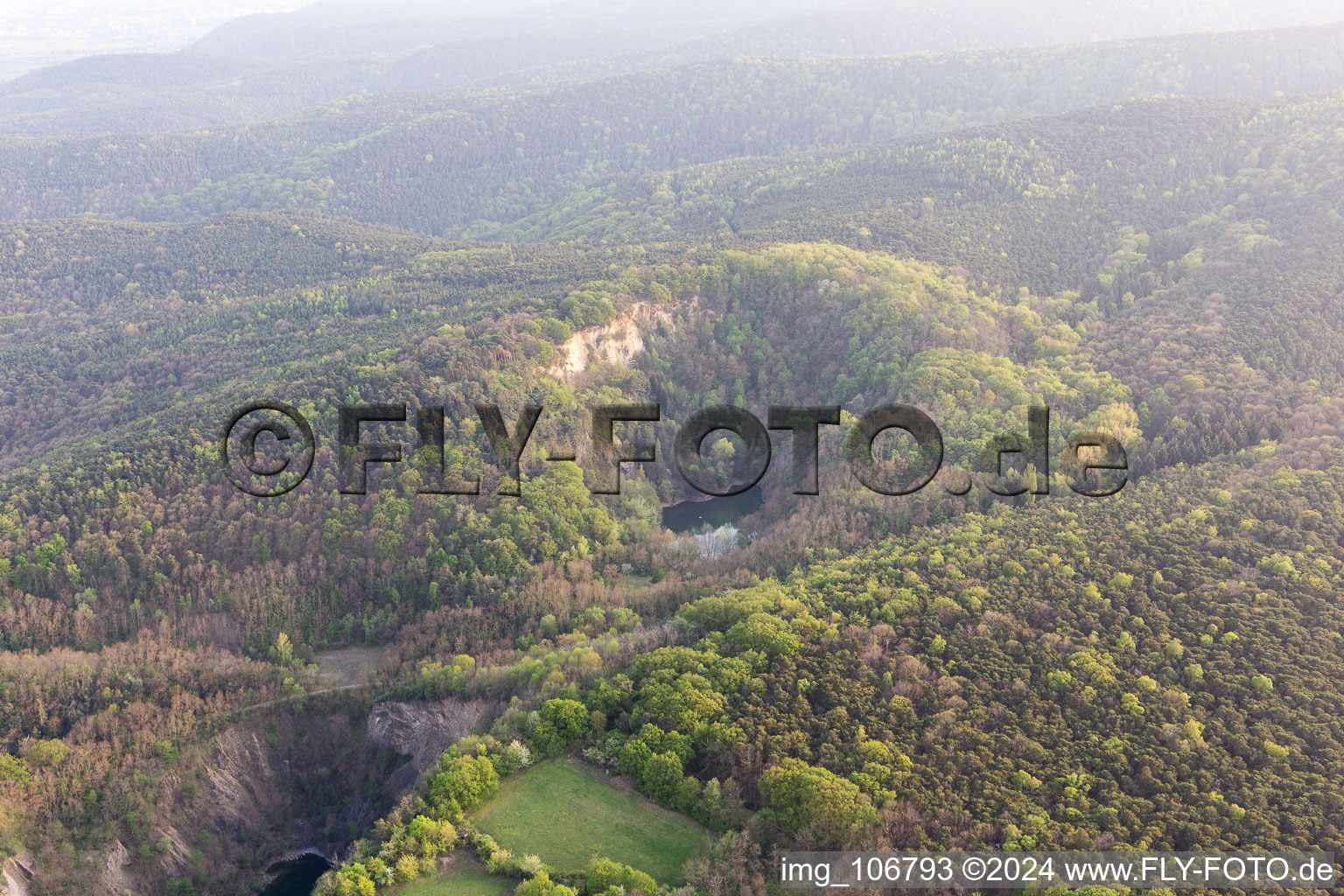 Bird's eye view of Wachenheim an der Weinstraße in the state Rhineland-Palatinate, Germany