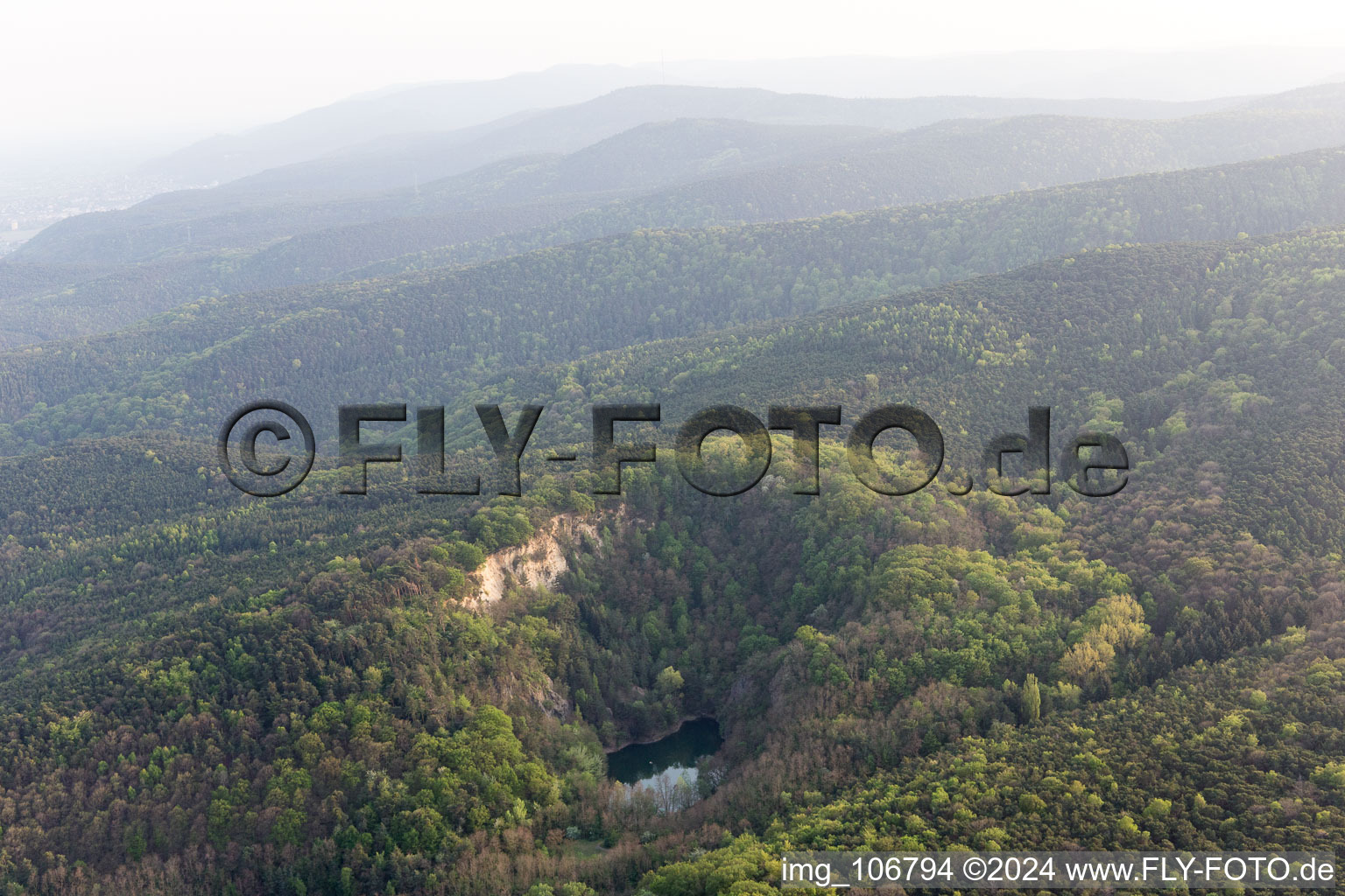 Wachenheim an der Weinstraße in the state Rhineland-Palatinate, Germany viewn from the air