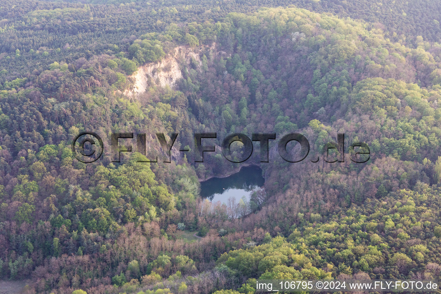 Drone recording of Wachenheim an der Weinstraße in the state Rhineland-Palatinate, Germany