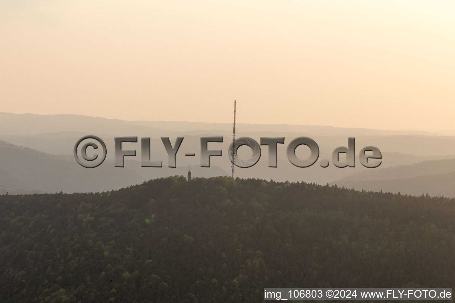 Wine bidding mast in the district Haardt in Neustadt an der Weinstraße in the state Rhineland-Palatinate, Germany