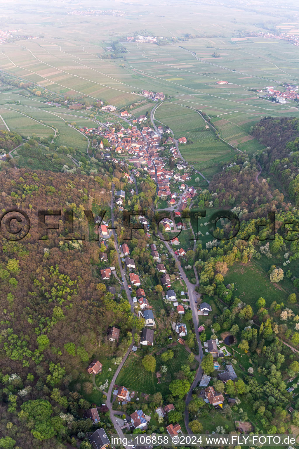 Oblique view of Leinsweiler in the state Rhineland-Palatinate, Germany