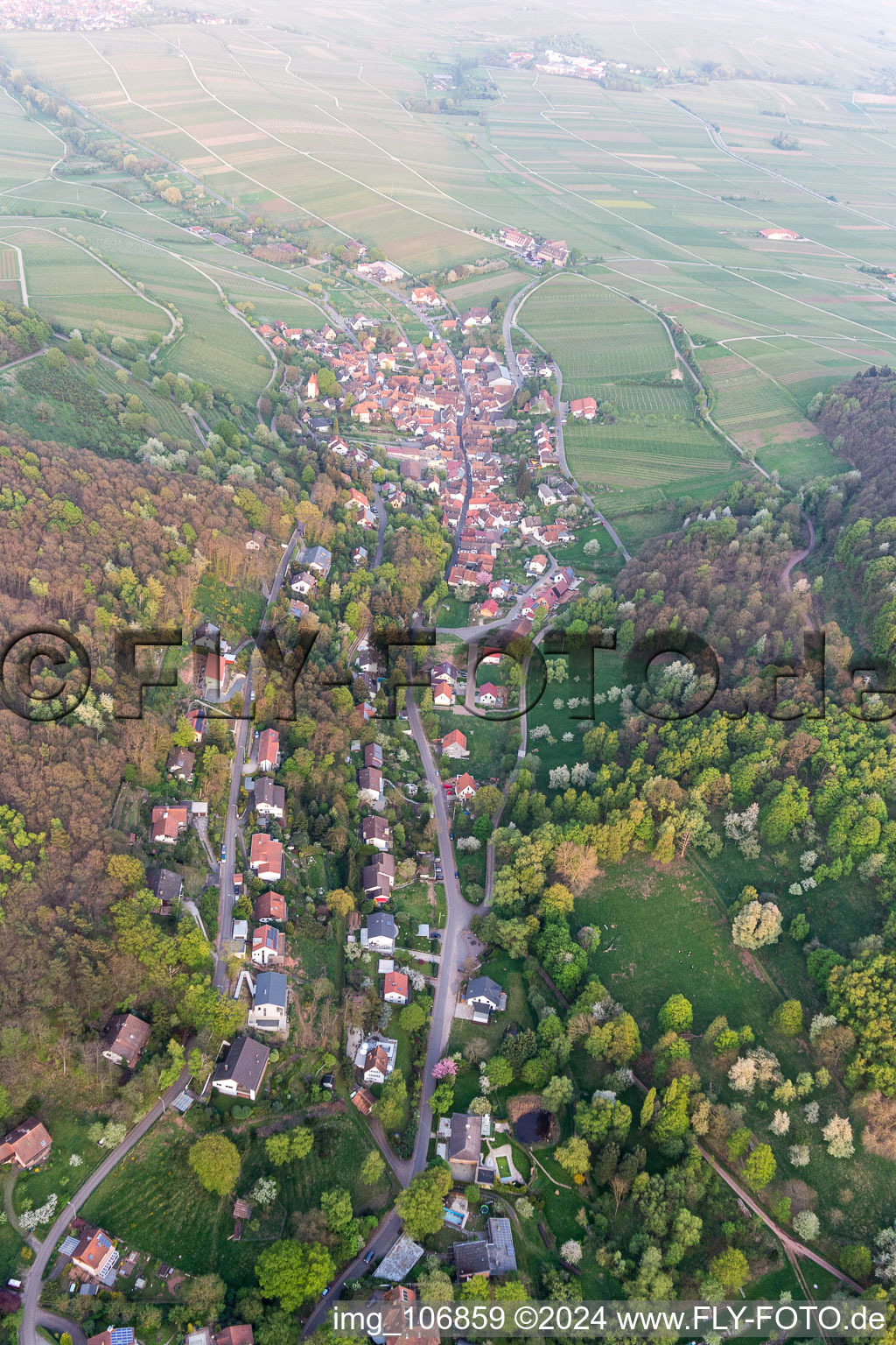 Leinsweiler in the state Rhineland-Palatinate, Germany from above