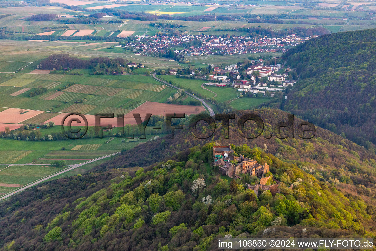 Bird's eye view of Madenburg in Eschbach in the state Rhineland-Palatinate, Germany