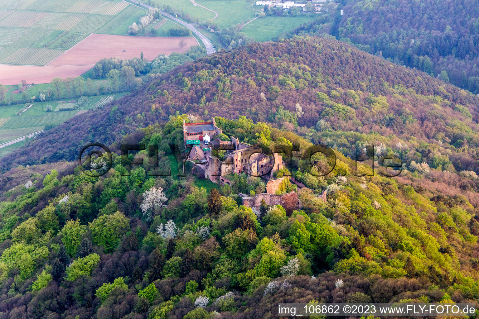 Madenburg in Eschbach in the state Rhineland-Palatinate, Germany viewn from the air