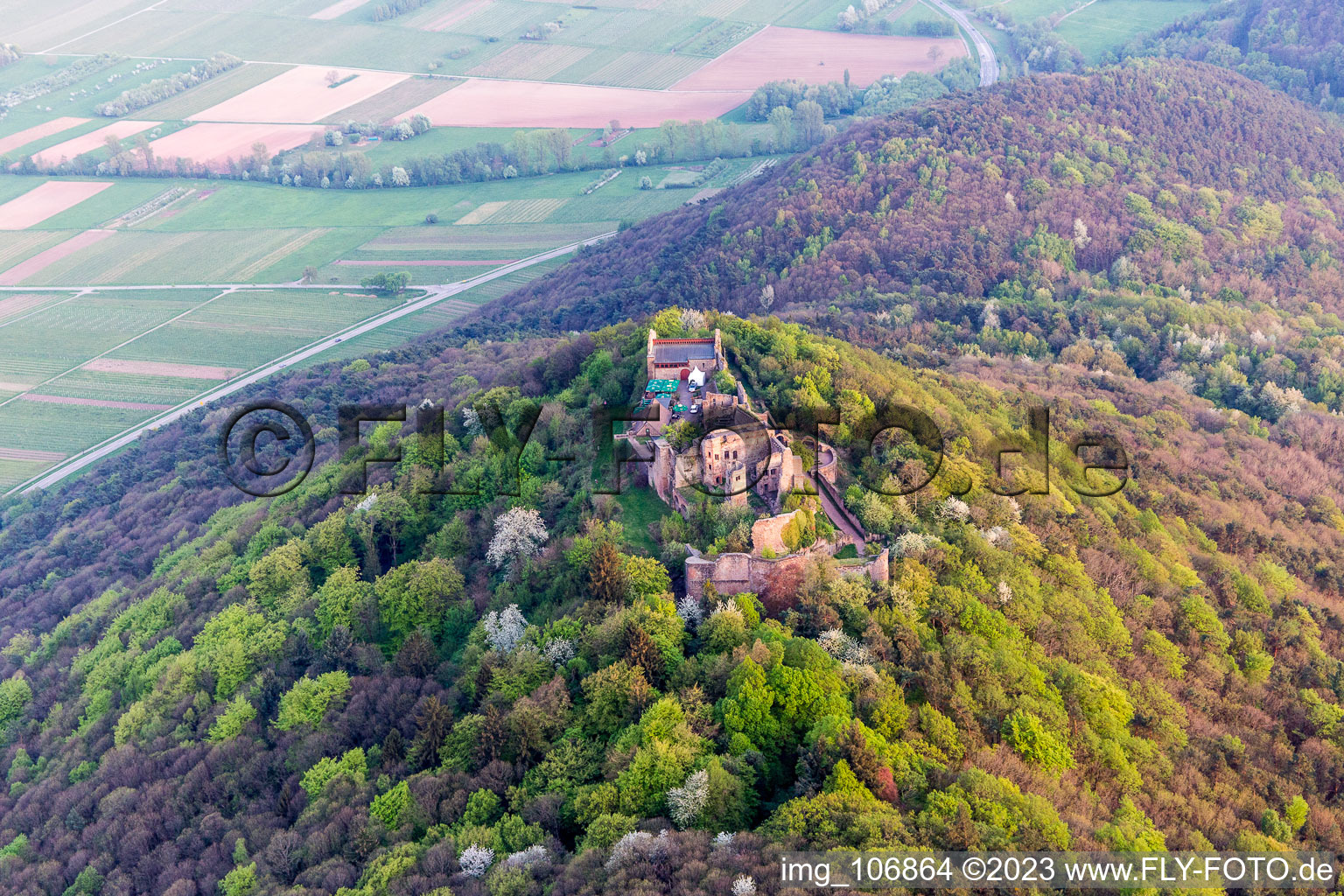 Drone image of Madenburg in Eschbach in the state Rhineland-Palatinate, Germany