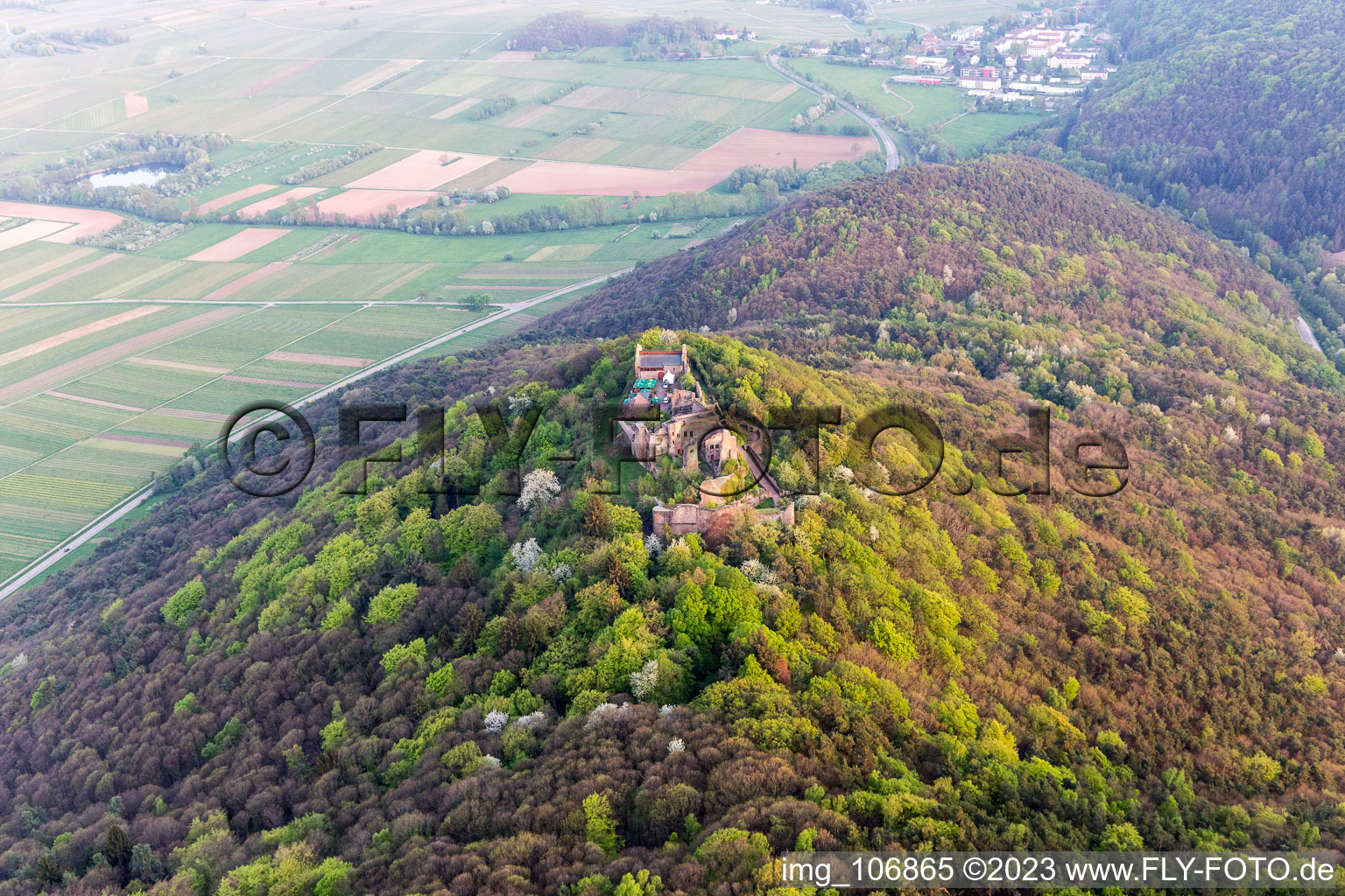 Madenburg in Eschbach in the state Rhineland-Palatinate, Germany from the drone perspective