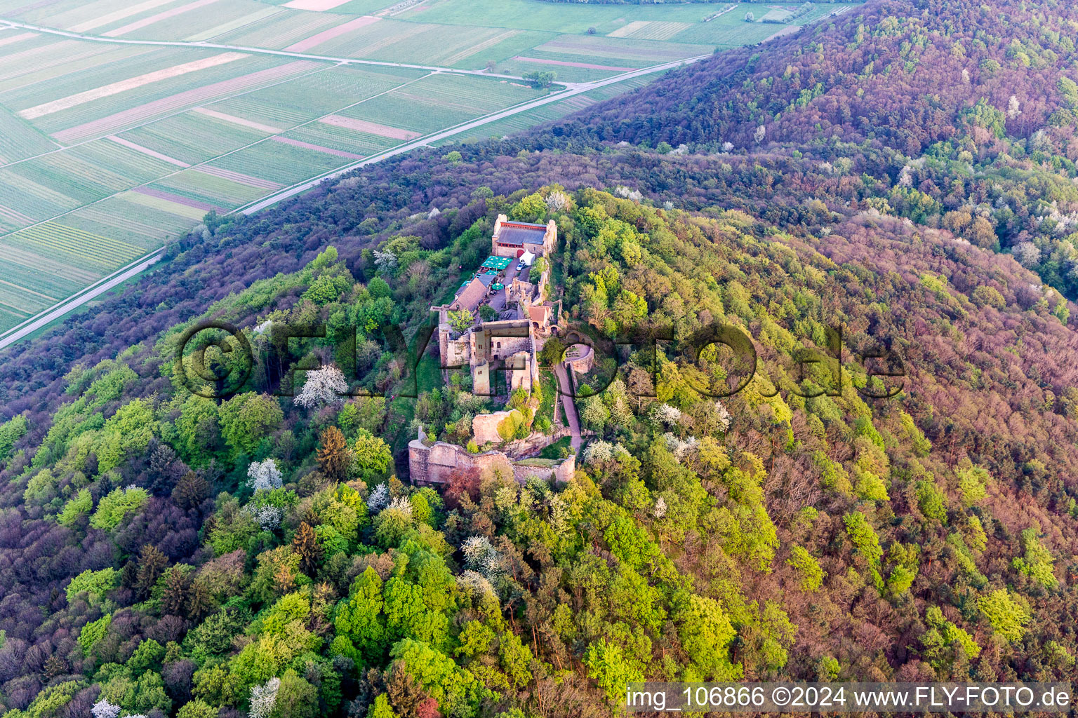 Madenburg in Eschbach in the state Rhineland-Palatinate, Germany from a drone