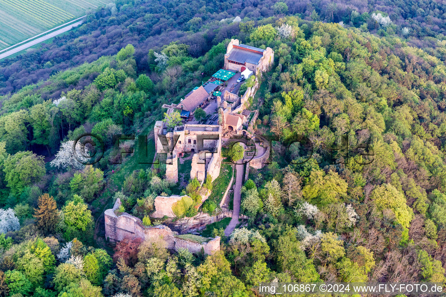 Madenburg in Eschbach in the state Rhineland-Palatinate, Germany seen from a drone