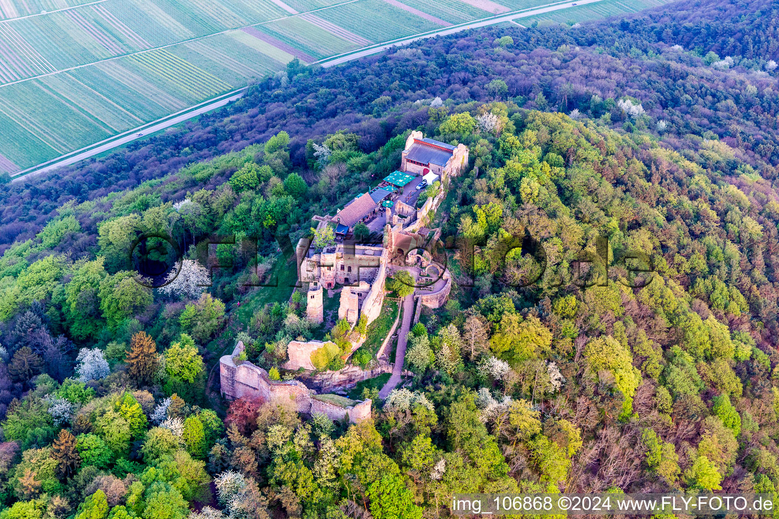 Ruins and vestiges of the former fortress Madenburg in spring in Eschbach in the state Rhineland-Palatinate, Germany