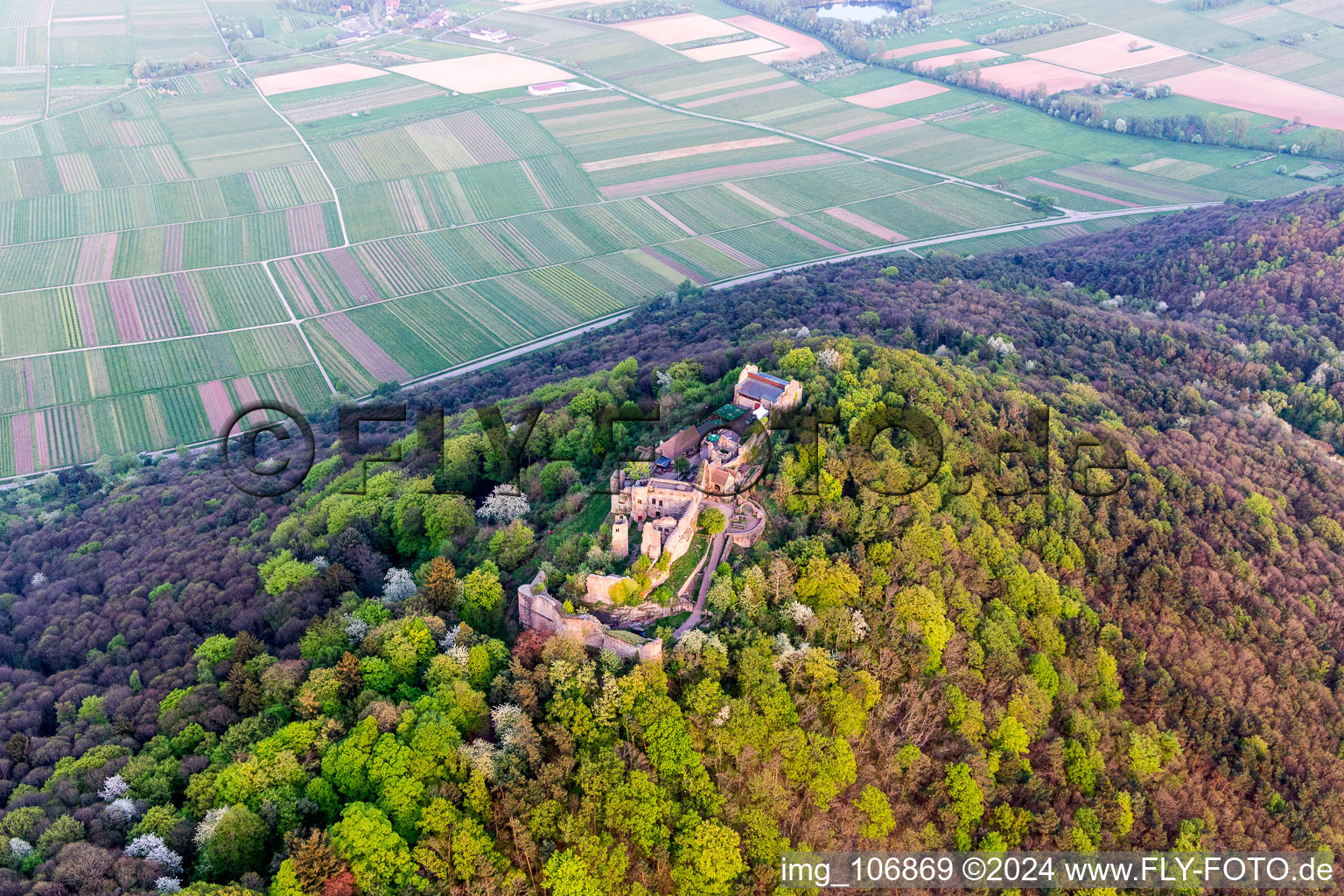 Aerial view of Madenburg in Eschbach in the state Rhineland-Palatinate, Germany