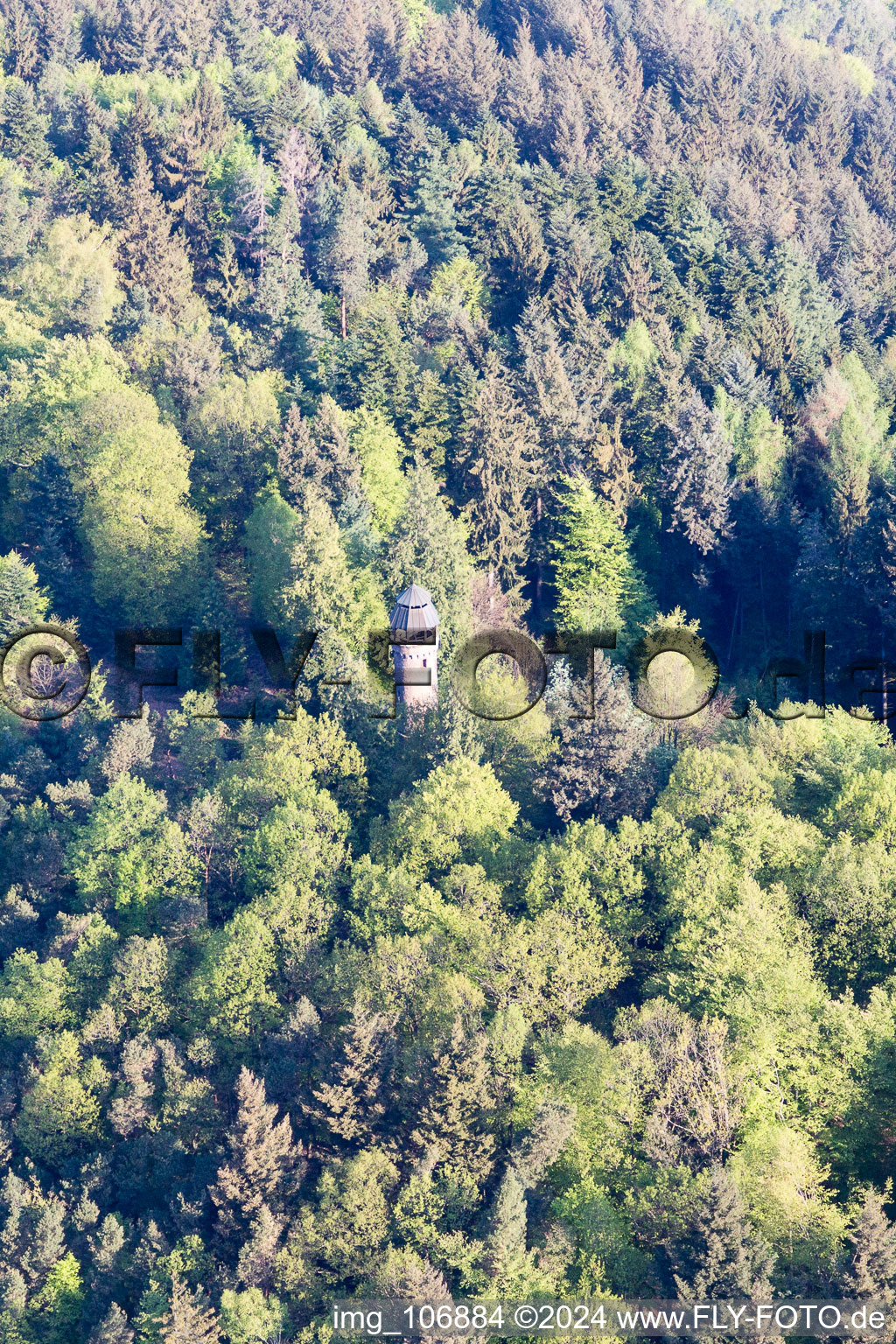 Aerial view of Martinsturm in Klingenmünster in the state Rhineland-Palatinate, Germany