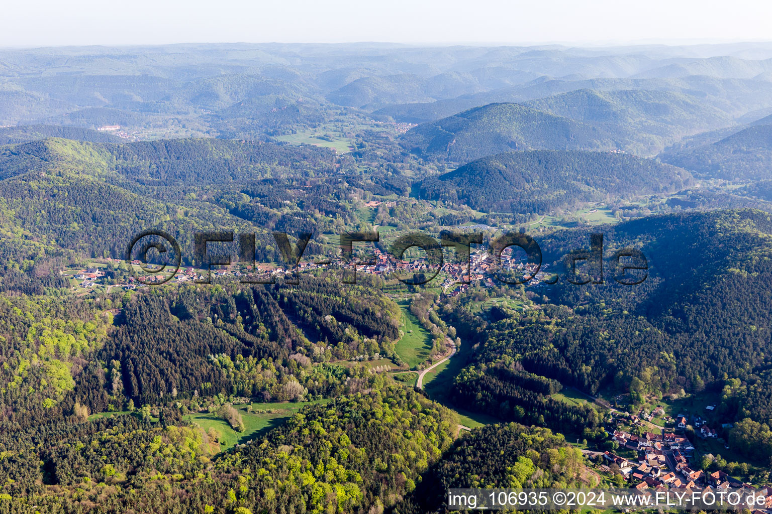 Schwanheim in the state Rhineland-Palatinate, Germany from above