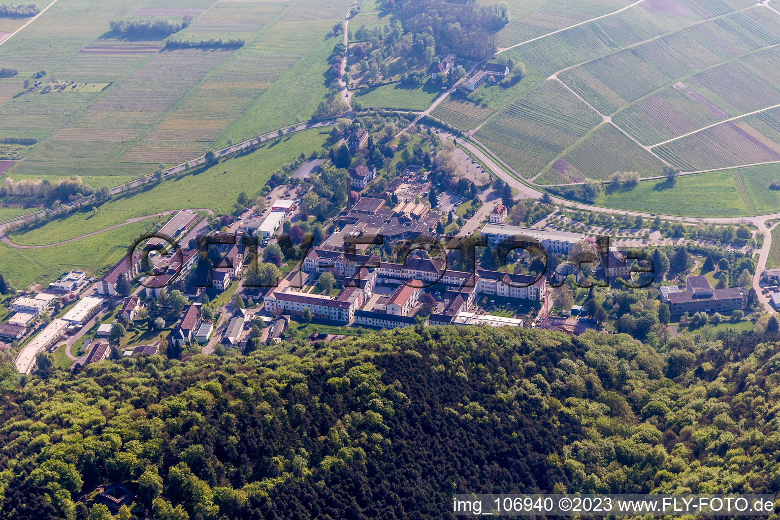 Klingenmünster in the state Rhineland-Palatinate, Germany from a drone