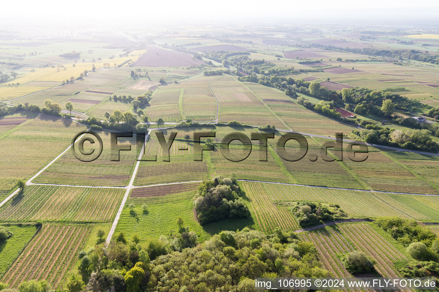 Bird's eye view of Oberotterbach in the state Rhineland-Palatinate, Germany