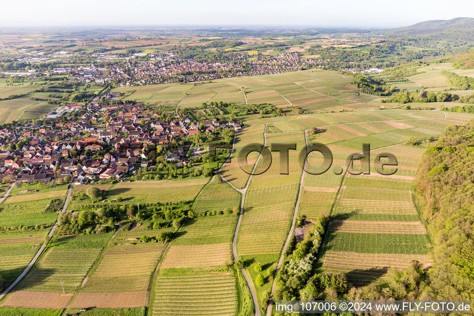 District Schweigen in Schweigen-Rechtenbach in the state Rhineland-Palatinate, Germany from the drone perspective