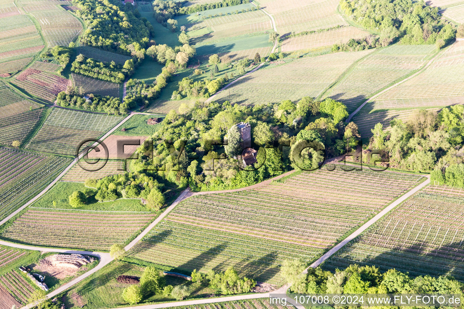 District Schweigen in Schweigen-Rechtenbach in the state Rhineland-Palatinate, Germany from a drone