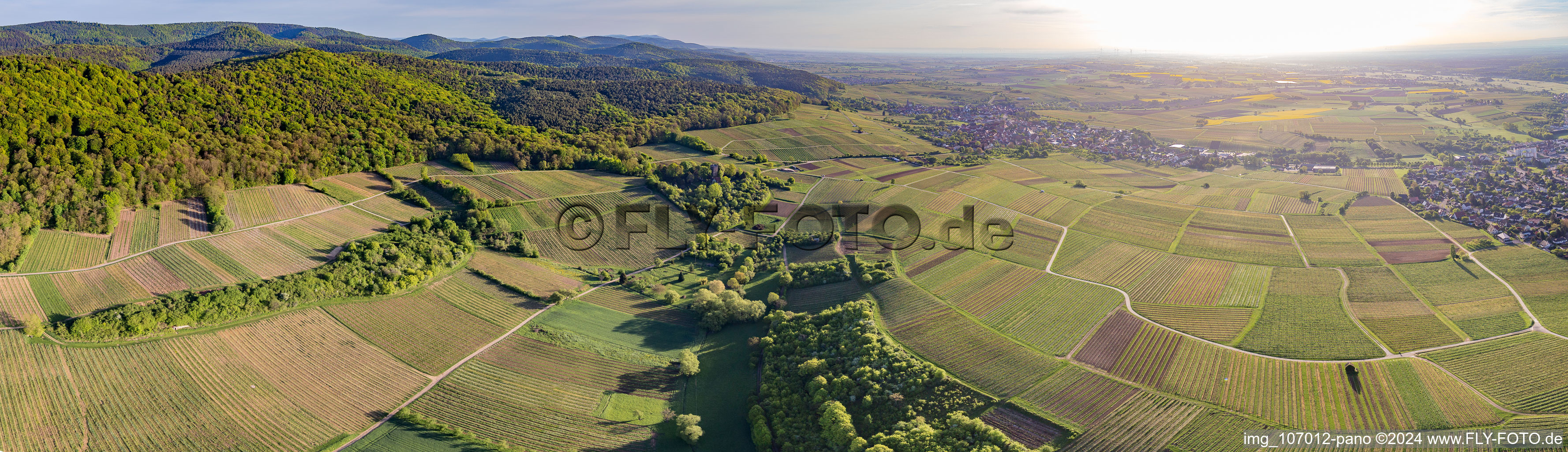 Panoramic perspective fields of wine cultivation landscape "Sonnenberg" in Wissembourg in Grand Est, France