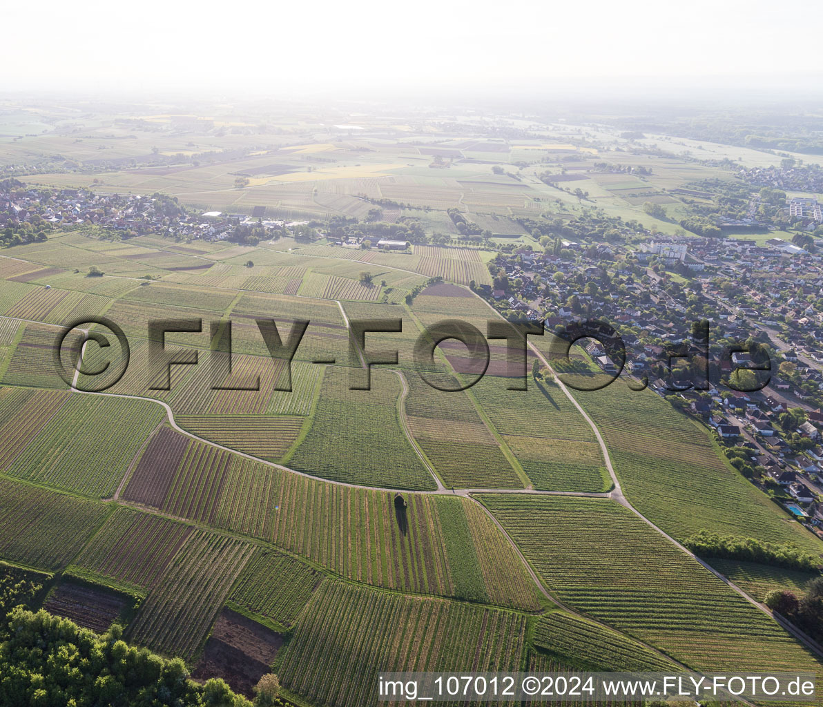 Sonnenberg vineyard in Wissembourg in the state Bas-Rhin, France