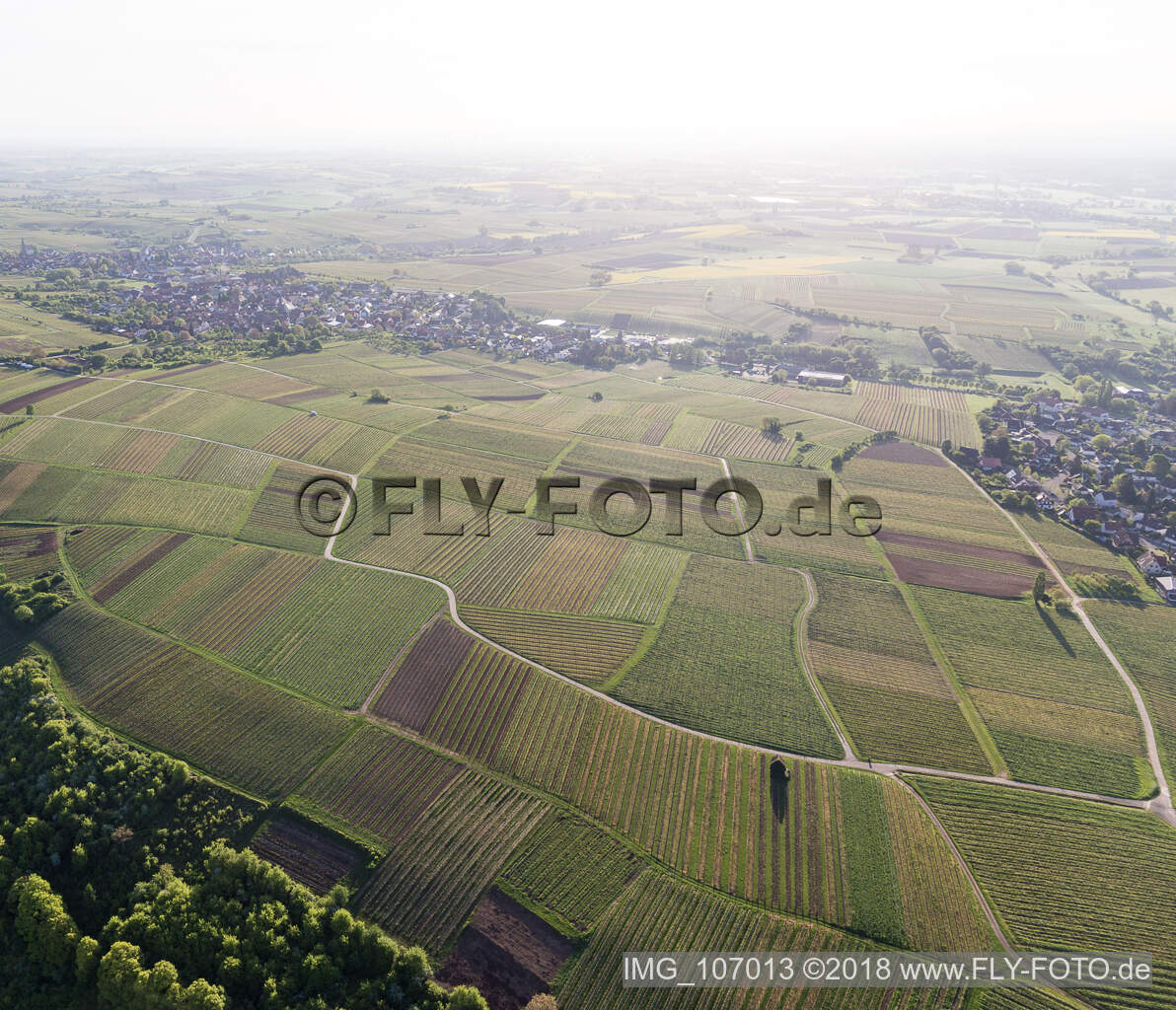 Aerial view of Sonnenberg vineyard in Wissembourg in the state Bas-Rhin, France