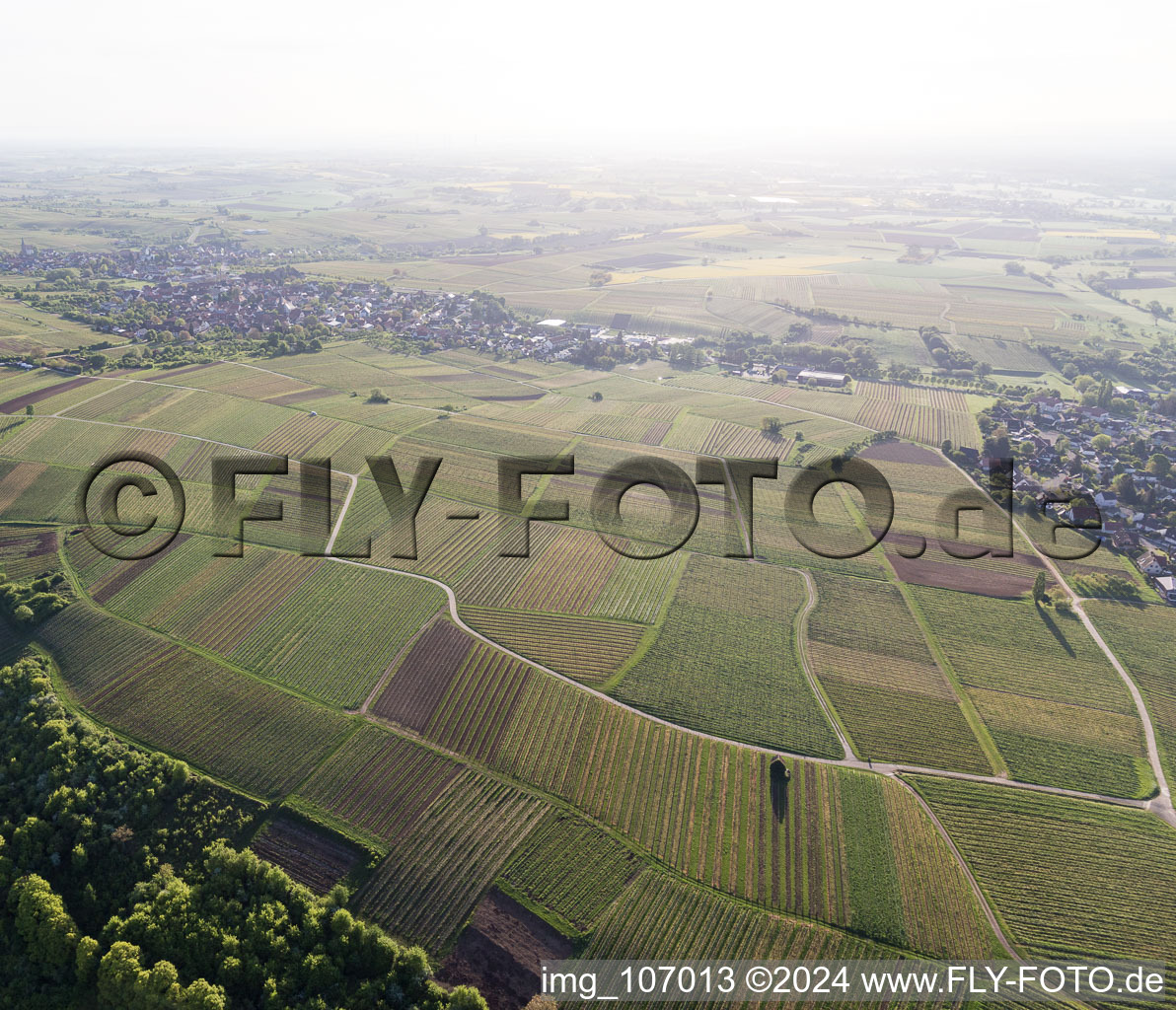 Aerial view of Sonnenberg vineyard in Wissembourg in the state Bas-Rhin, France