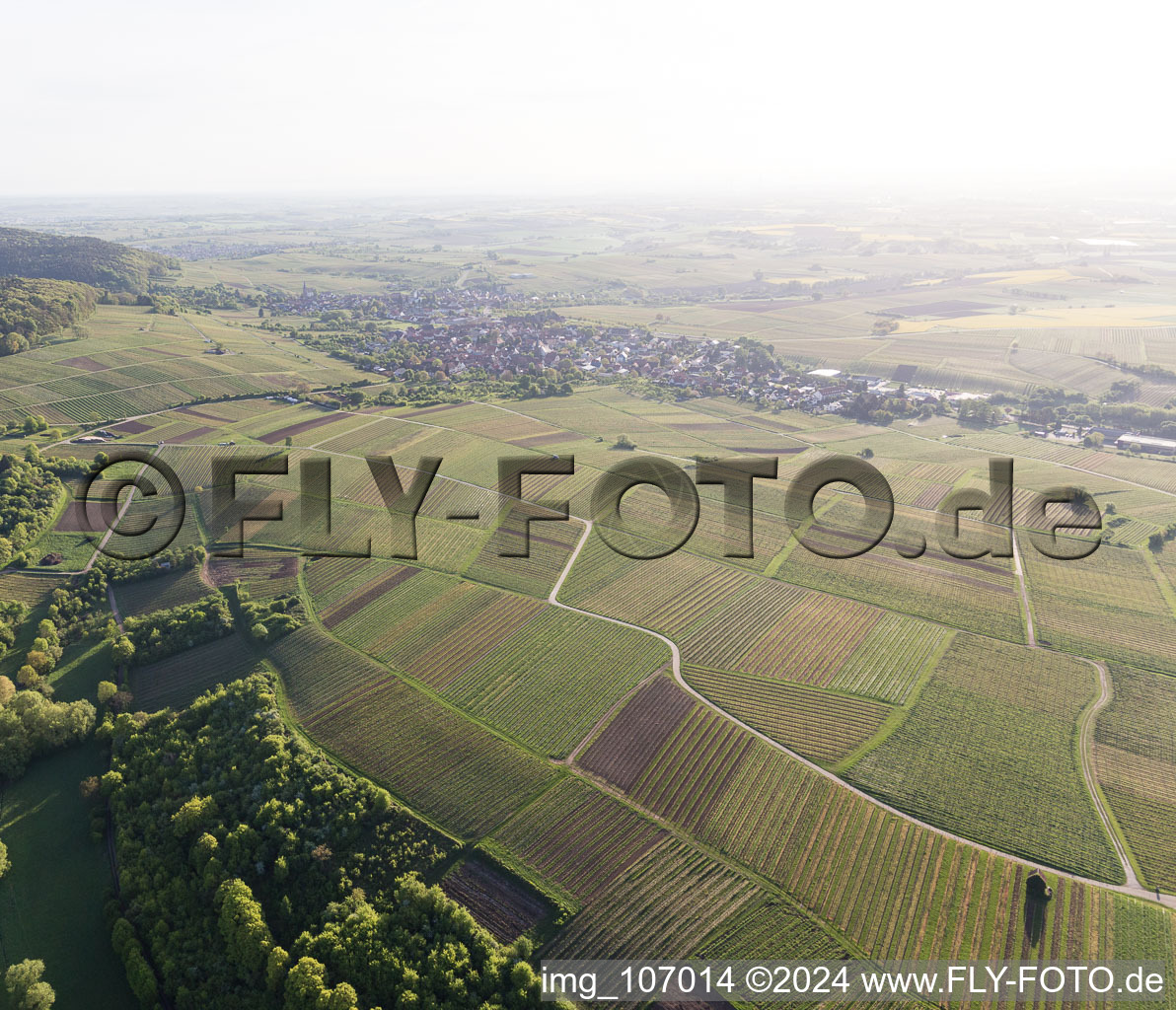 Aerial photograpy of Sonnenberg vineyard in Wissembourg in the state Bas-Rhin, France