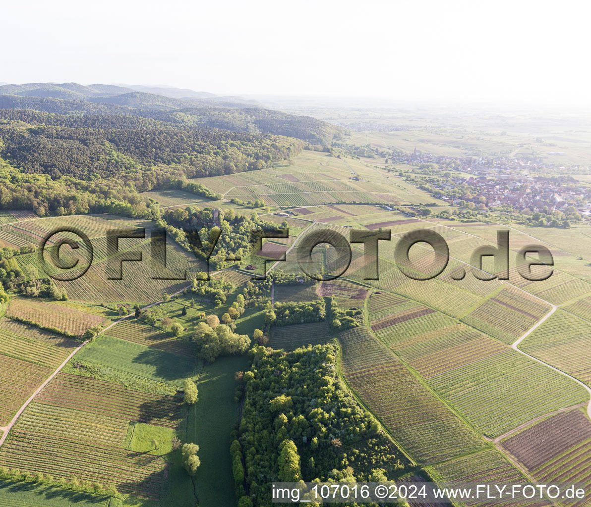 Sonnenberg vineyard in Wissembourg in the state Bas-Rhin, France from above