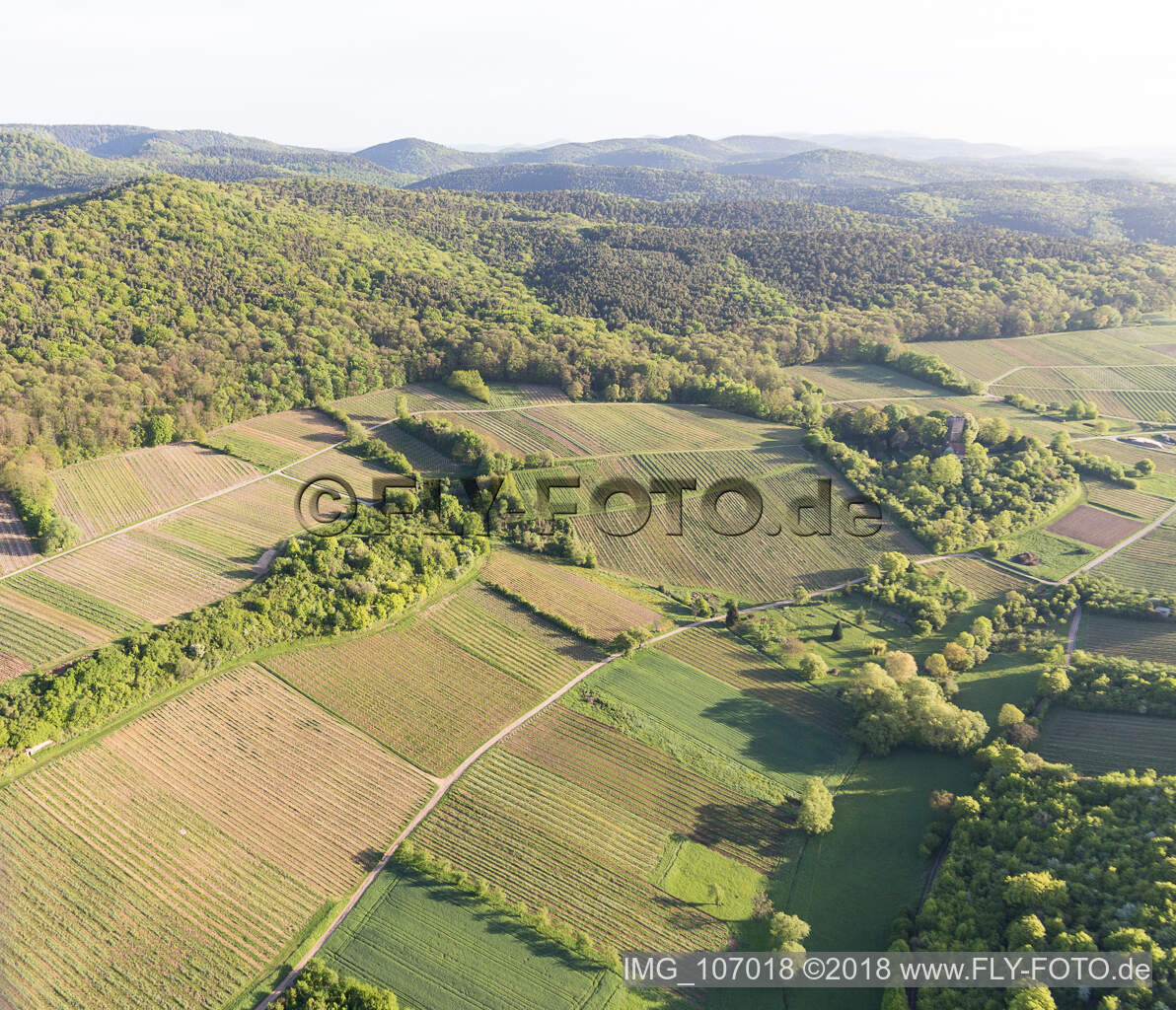 Sonnenberg vineyard in Wissembourg in the state Bas-Rhin, France seen from above