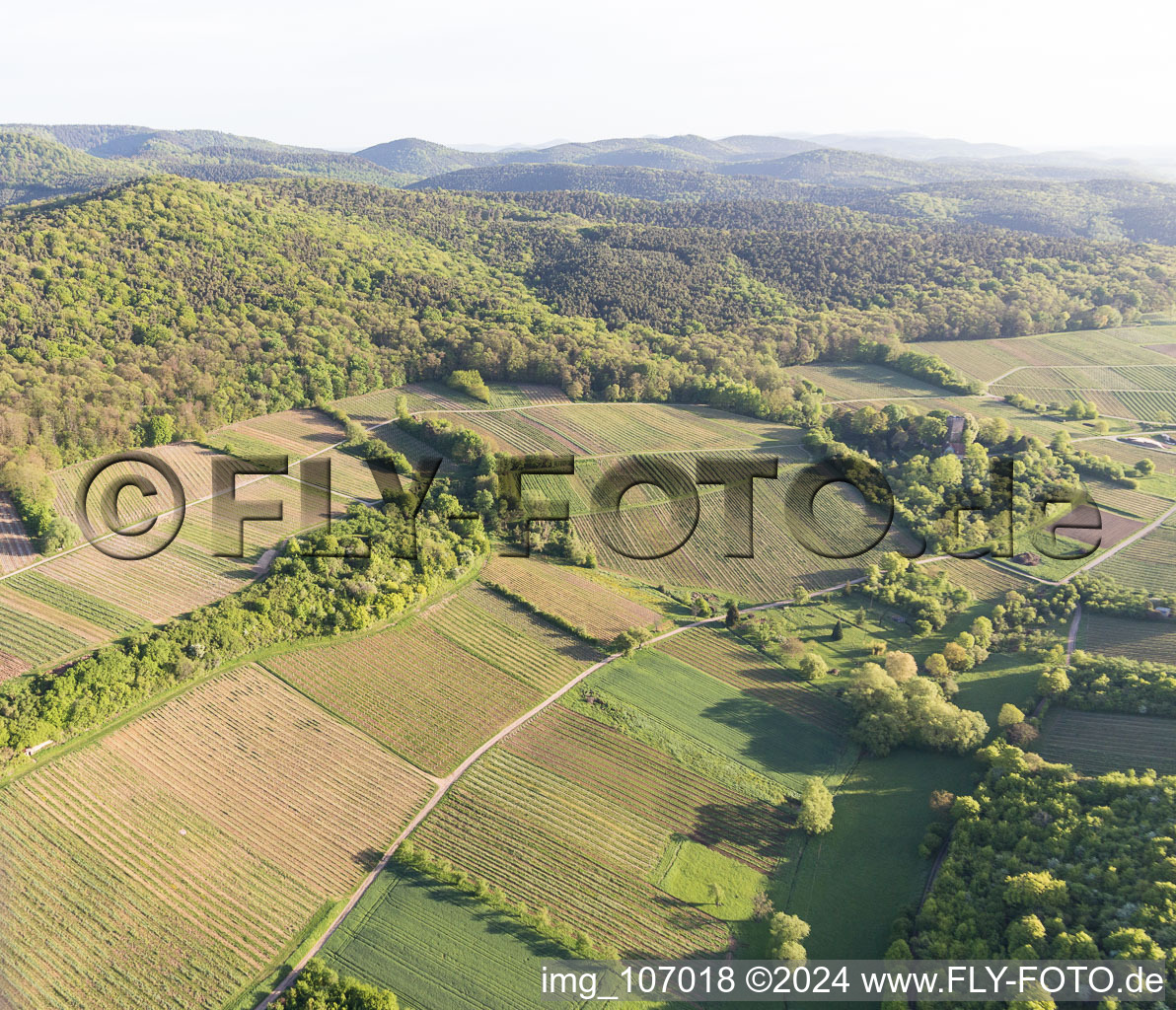 Sonnenberg vineyard in Wissembourg in the state Bas-Rhin, France seen from above