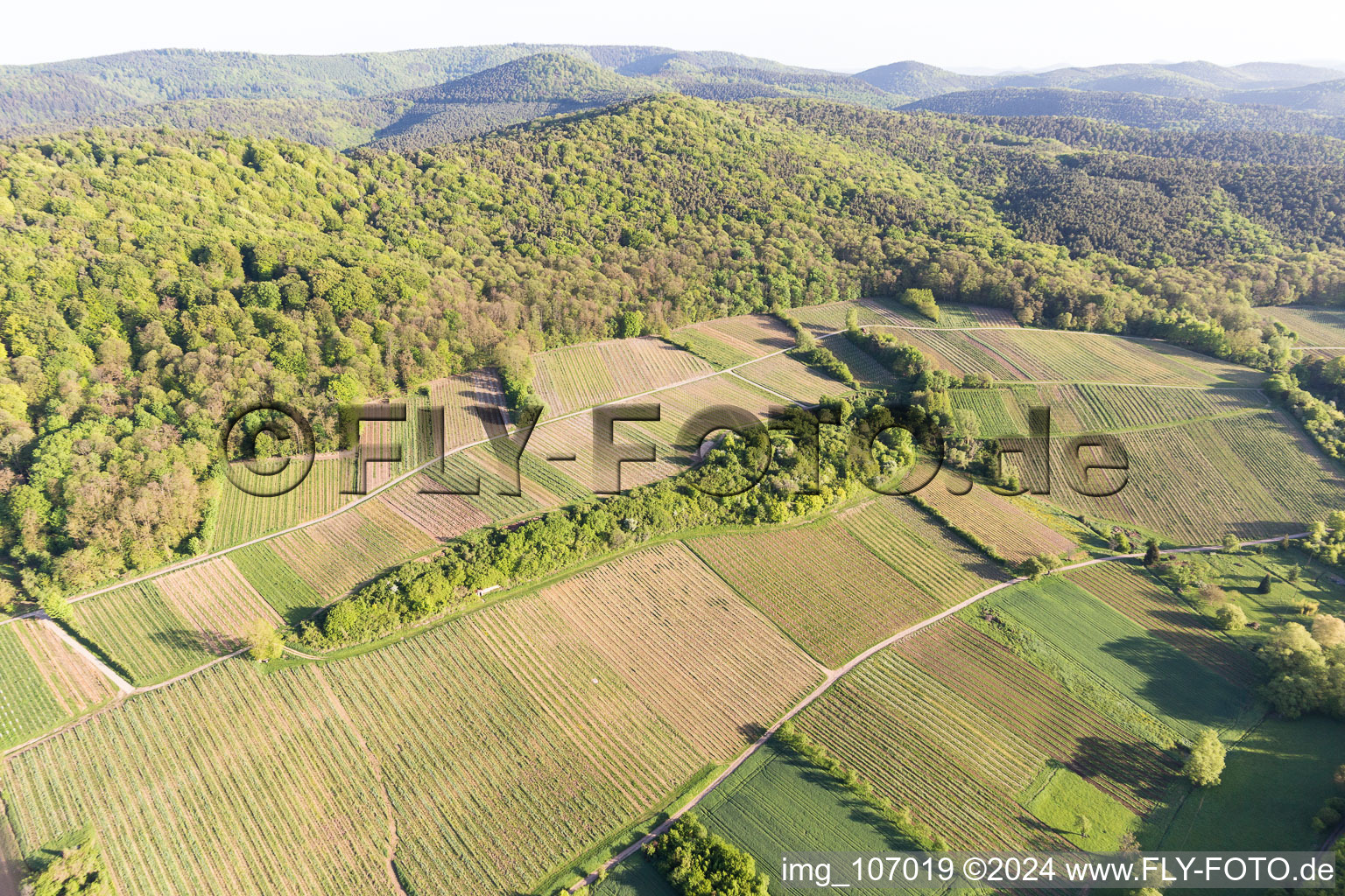 Sonnenberg vineyard in Wissembourg in the state Bas-Rhin, France from the plane