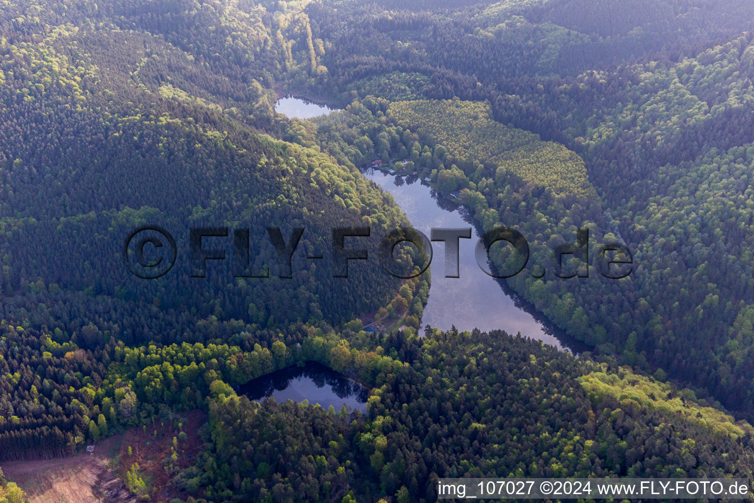 Seehof Pond in Erlenbach bei Dahn in the state Rhineland-Palatinate, Germany