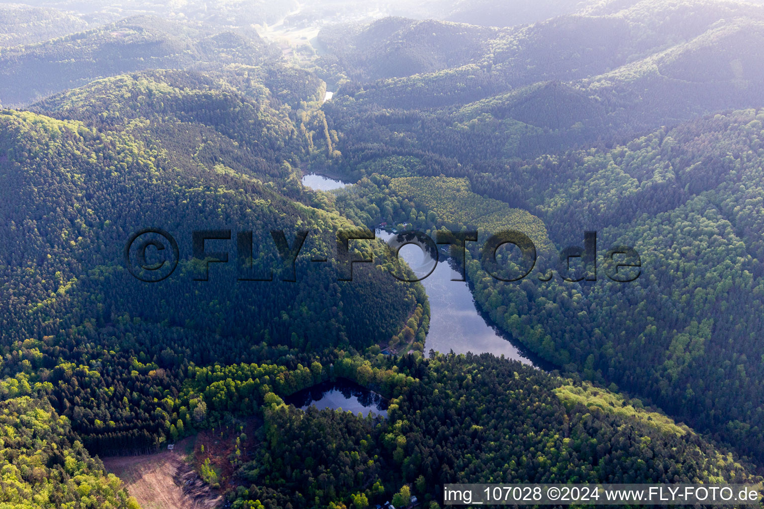 Aerial view of Seehof Pond in Erlenbach bei Dahn in the state Rhineland-Palatinate, Germany