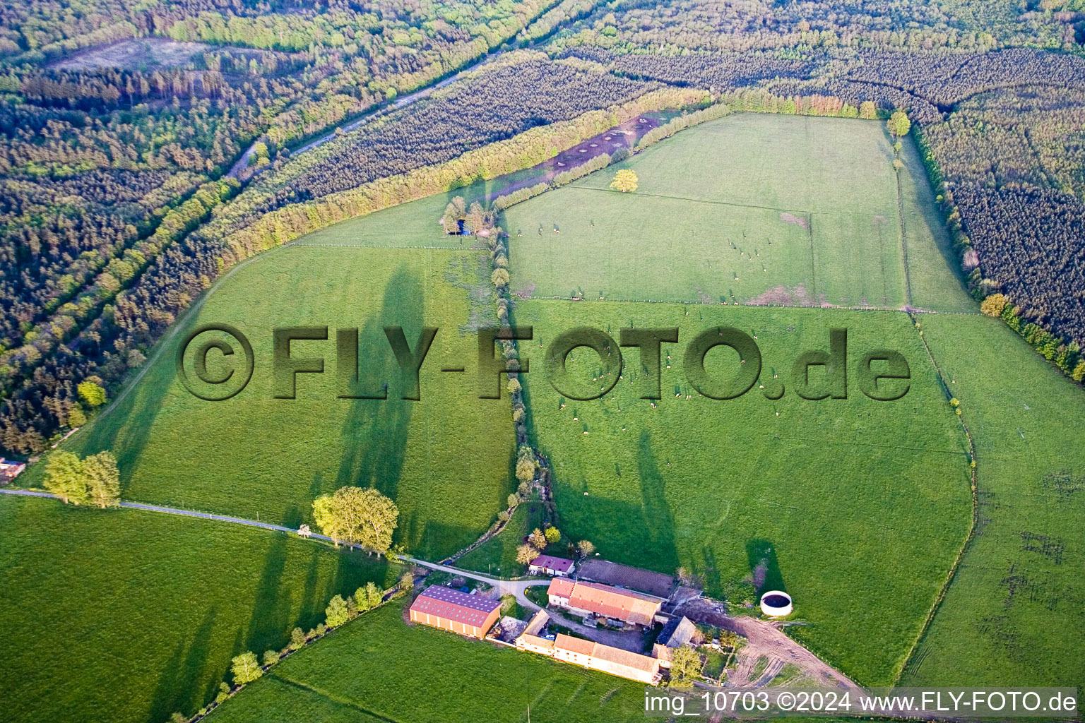 Mertzwiller in the state Bas-Rhin, France viewn from the air