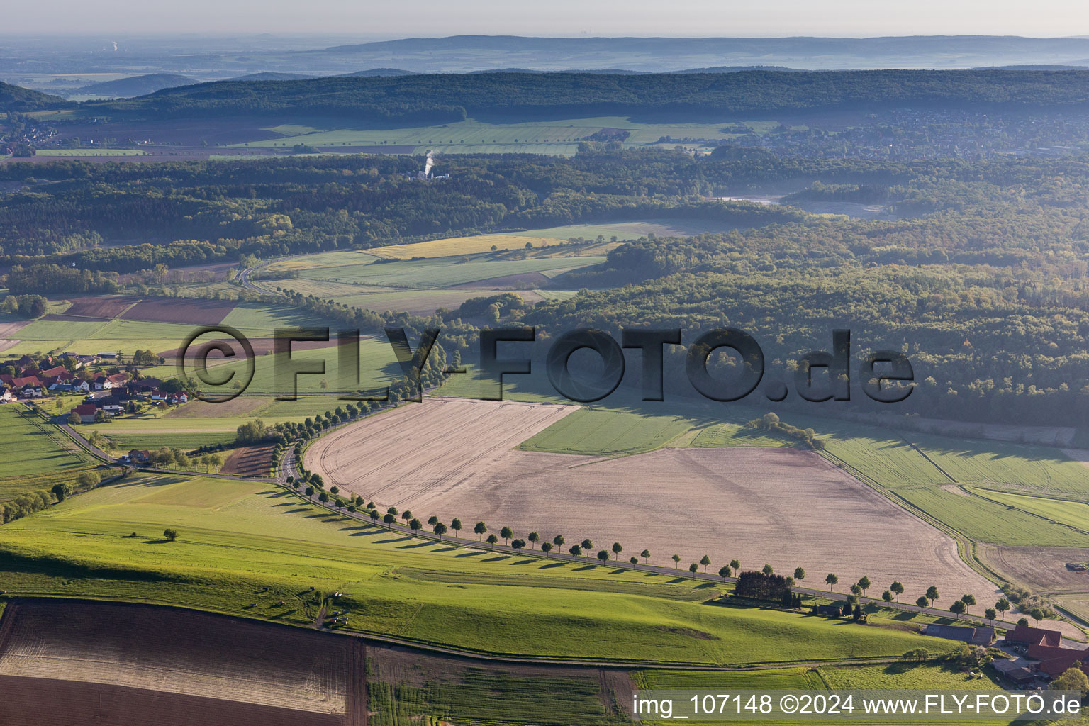 Row of trees on a country road on a field edge in Capellenhagen in the state Lower Saxony, Germany