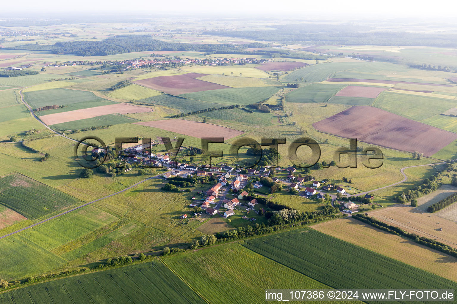 Hassenburg in the state Moselle, France