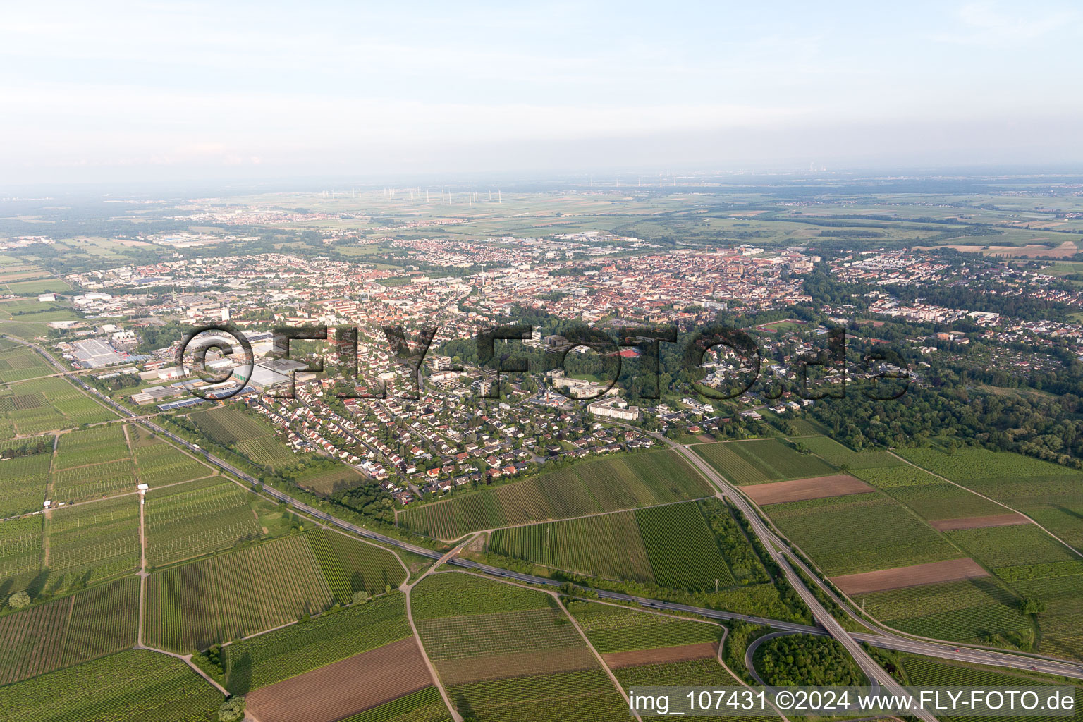 Drone image of Landau in der Pfalz in the state Rhineland-Palatinate, Germany