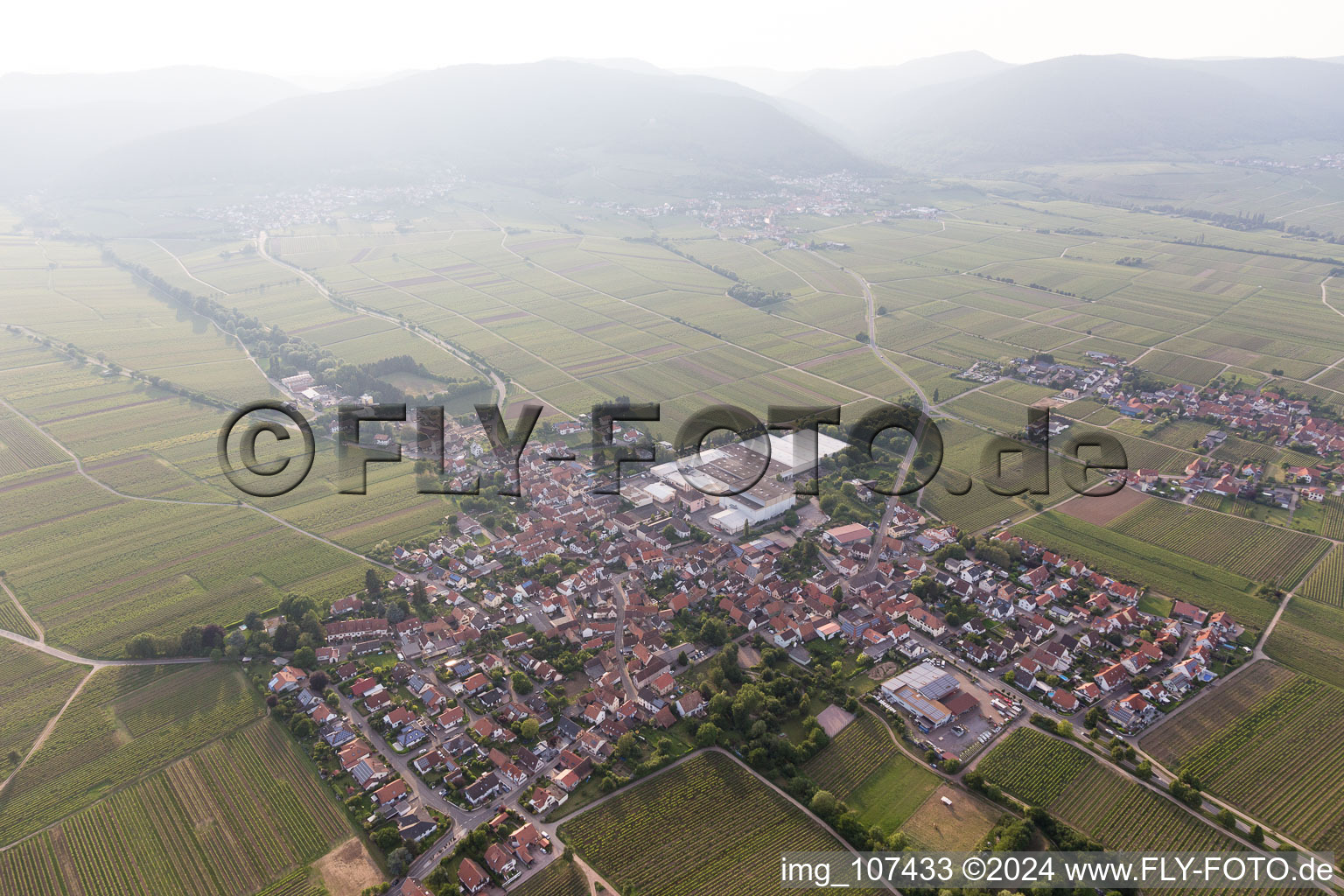 Böchingen in the state Rhineland-Palatinate, Germany from a drone