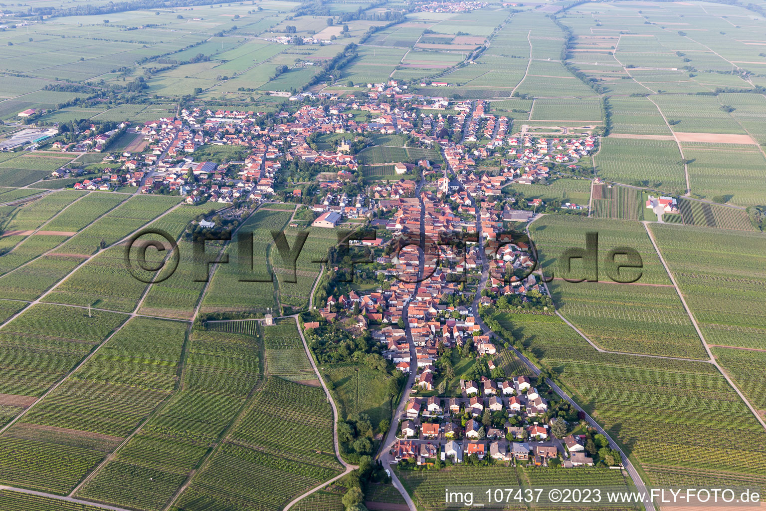 Oblique view of Edesheim in the state Rhineland-Palatinate, Germany