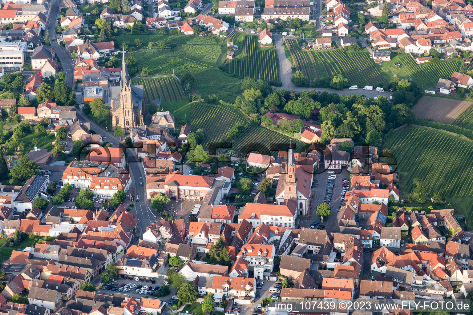 Bird's eye view of Edenkoben in the state Rhineland-Palatinate, Germany