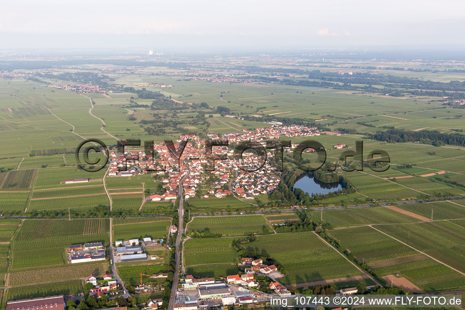 Kirrweiler in the state Rhineland-Palatinate, Germany from above