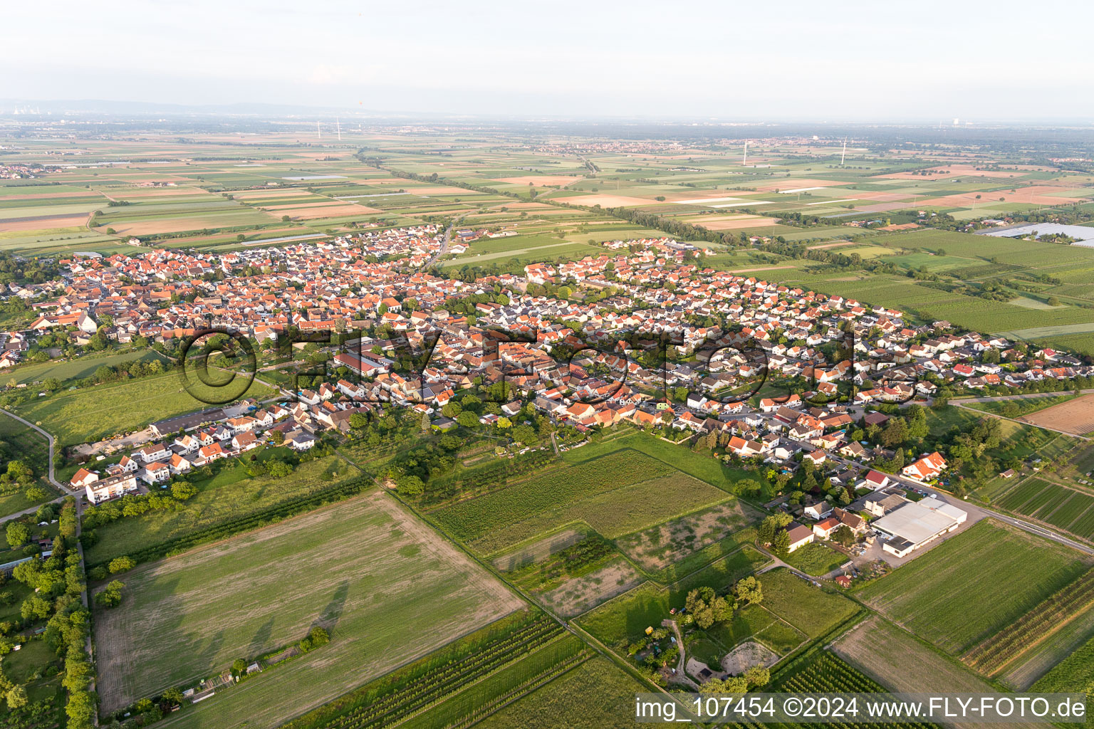 Oblique view of Meckenheim in the state Rhineland-Palatinate, Germany