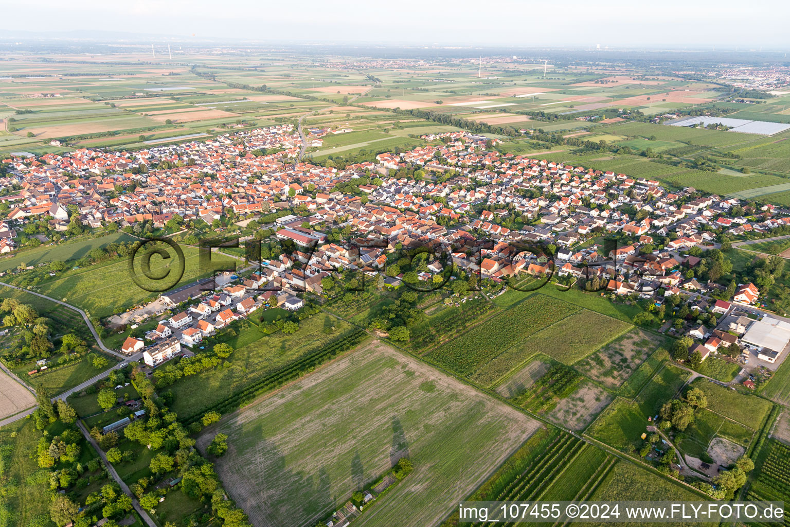 Meckenheim in the state Rhineland-Palatinate, Germany from above