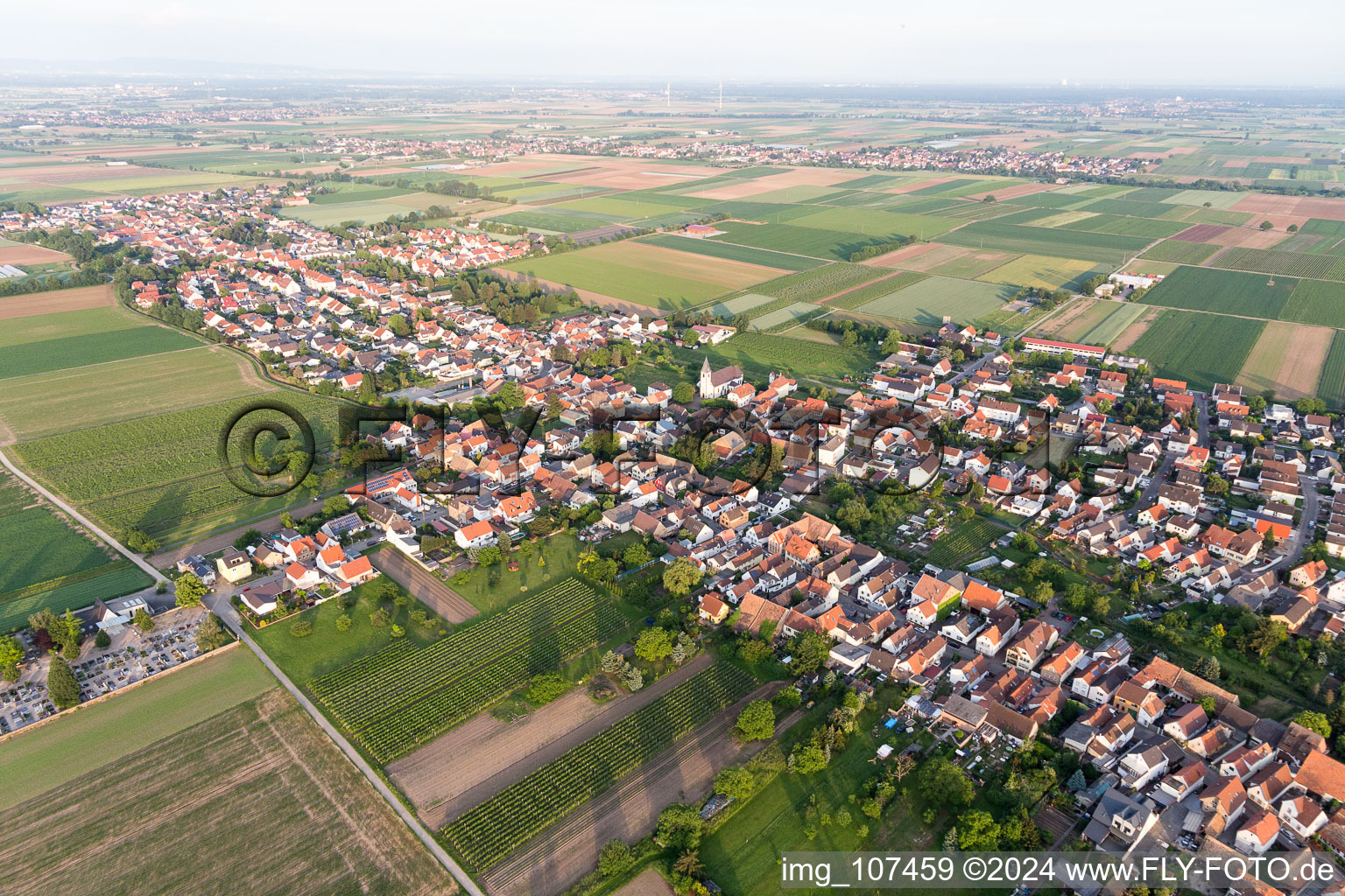 Oblique view of Rödersheim-Gronau in the state Rhineland-Palatinate, Germany