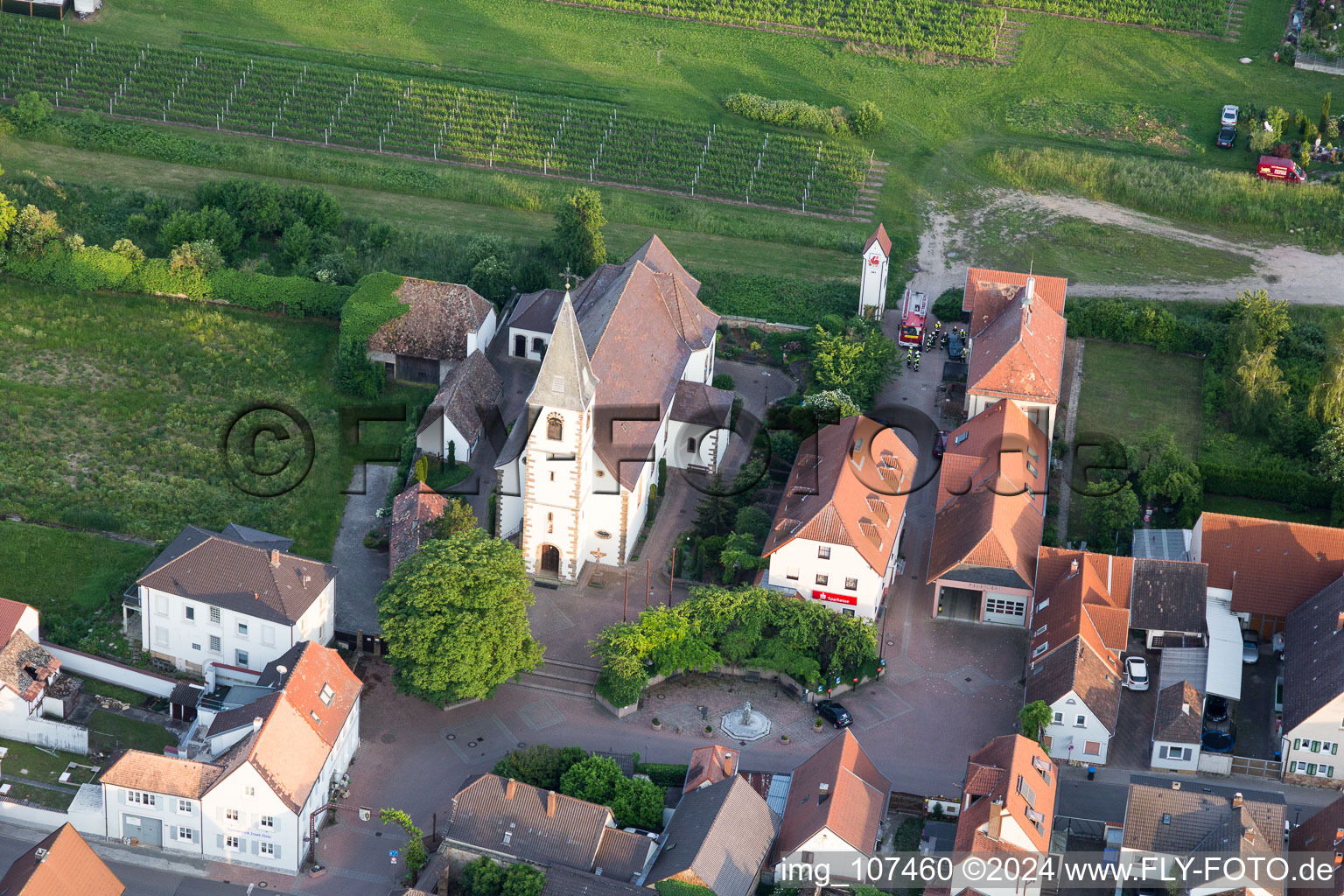 Rödersheim-Gronau in the state Rhineland-Palatinate, Germany from above