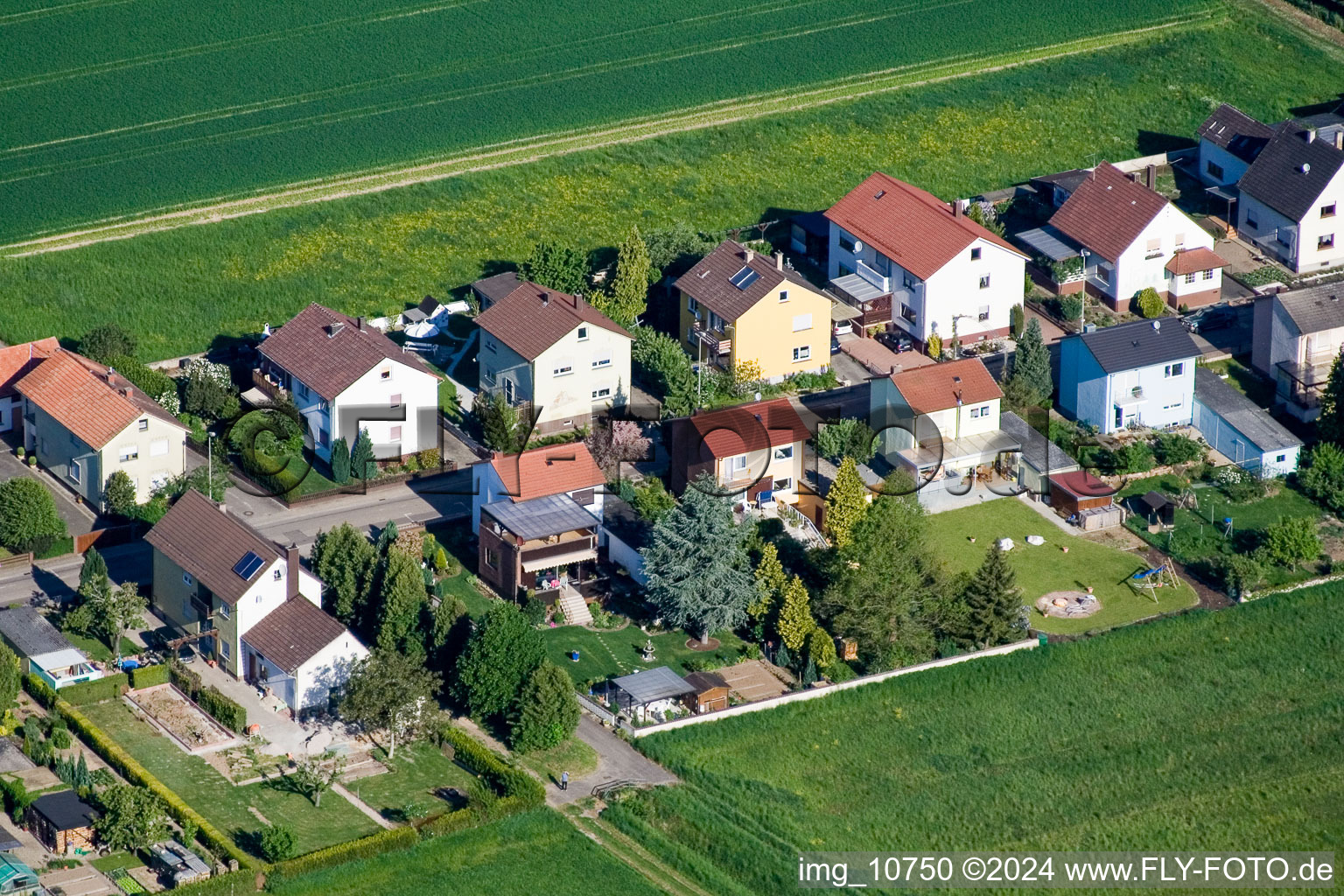 Freckenfeld in the state Rhineland-Palatinate, Germany from the drone perspective