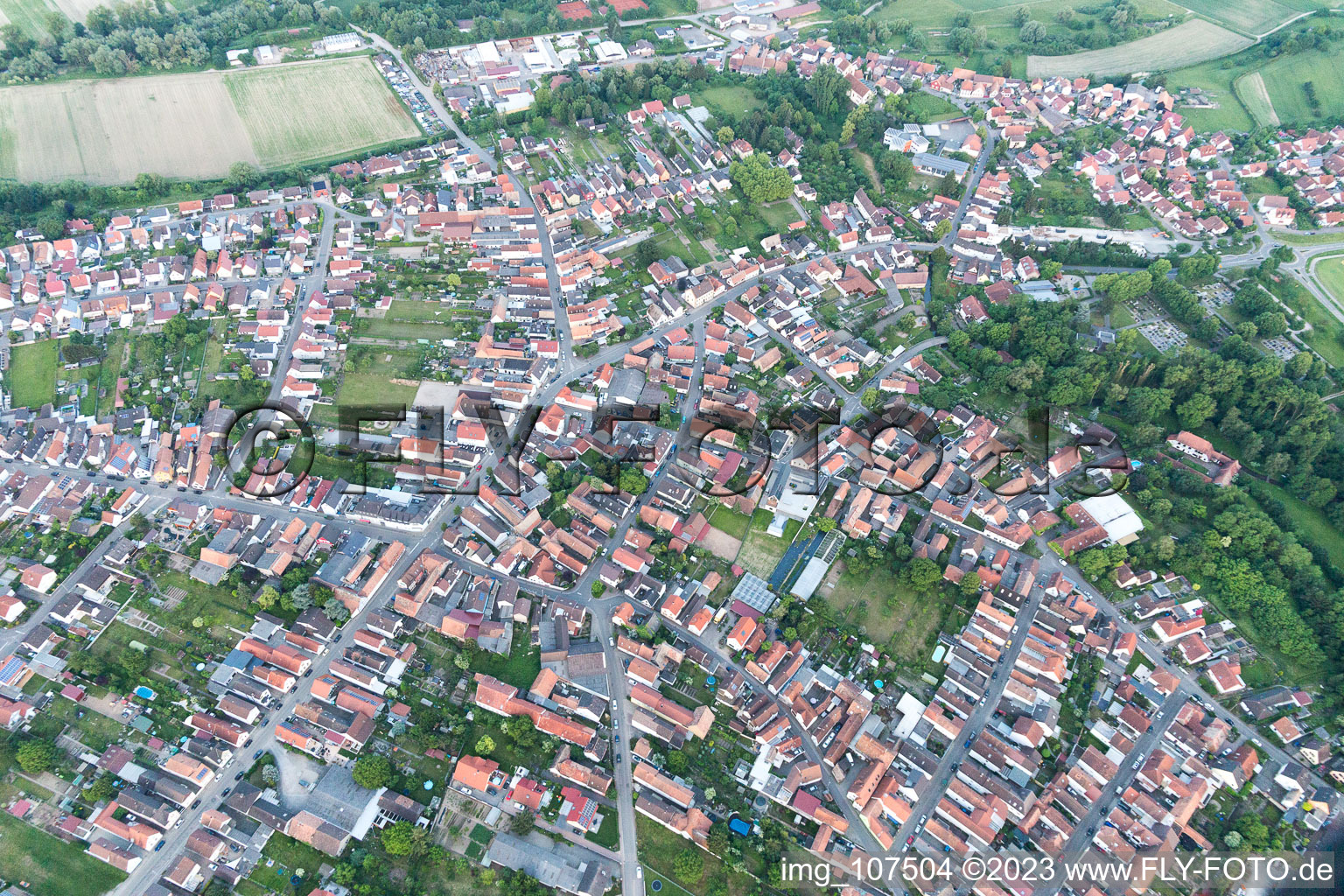 Hördt in the state Rhineland-Palatinate, Germany from a drone