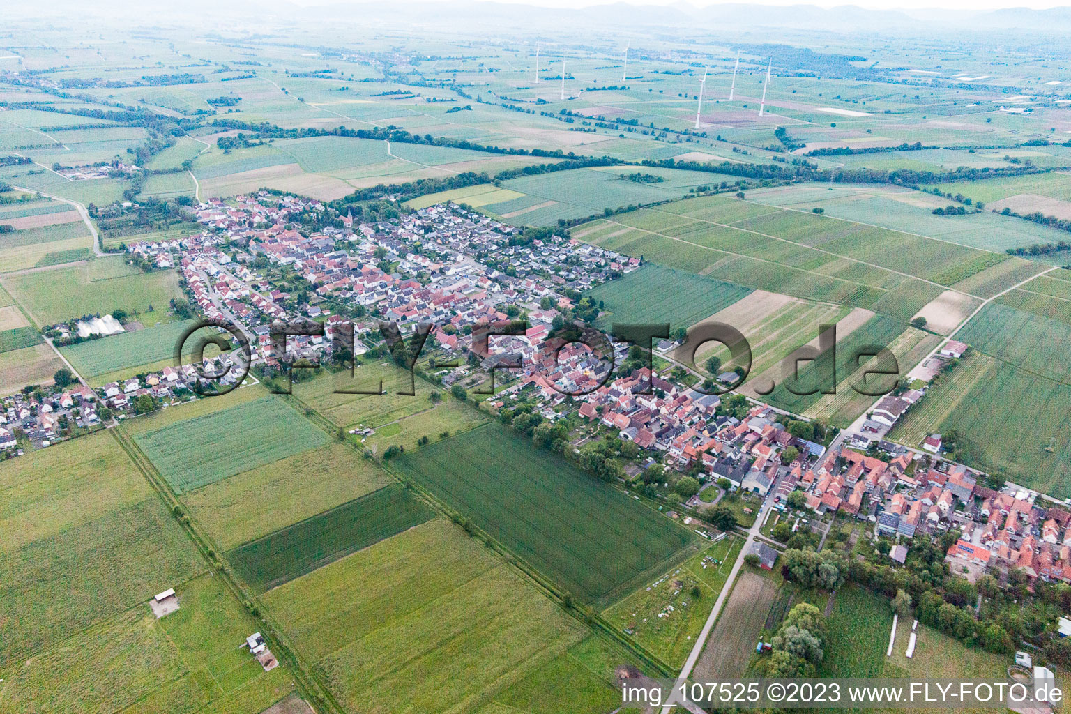 Freckenfeld in the state Rhineland-Palatinate, Germany from a drone