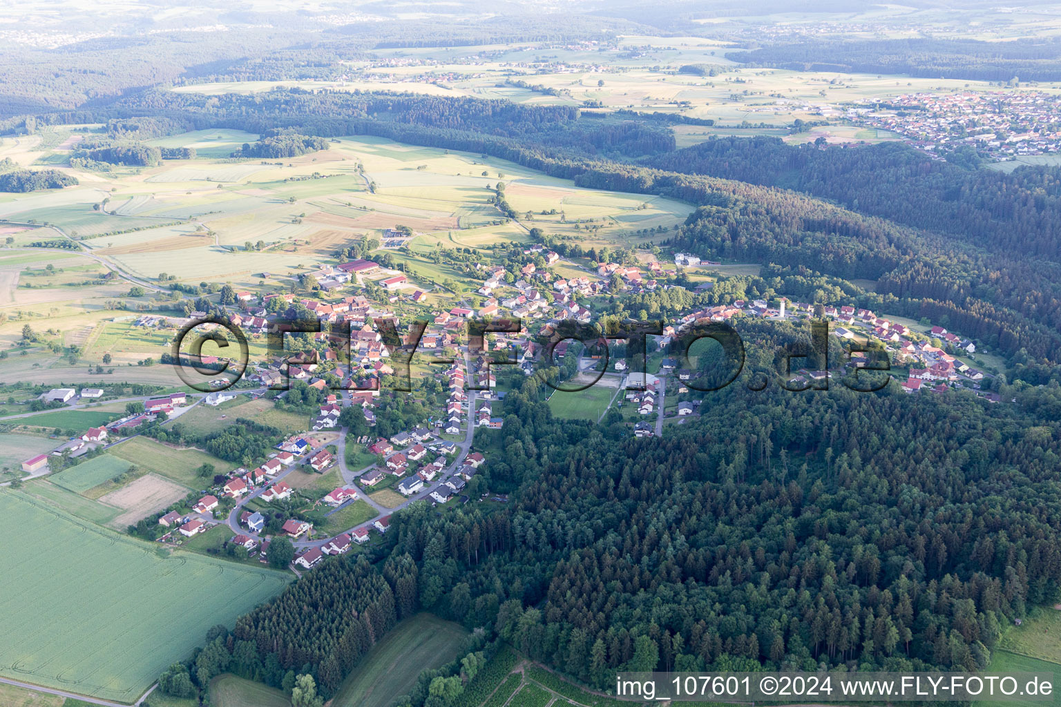 Aerial view of Trienz in the state Baden-Wuerttemberg, Germany